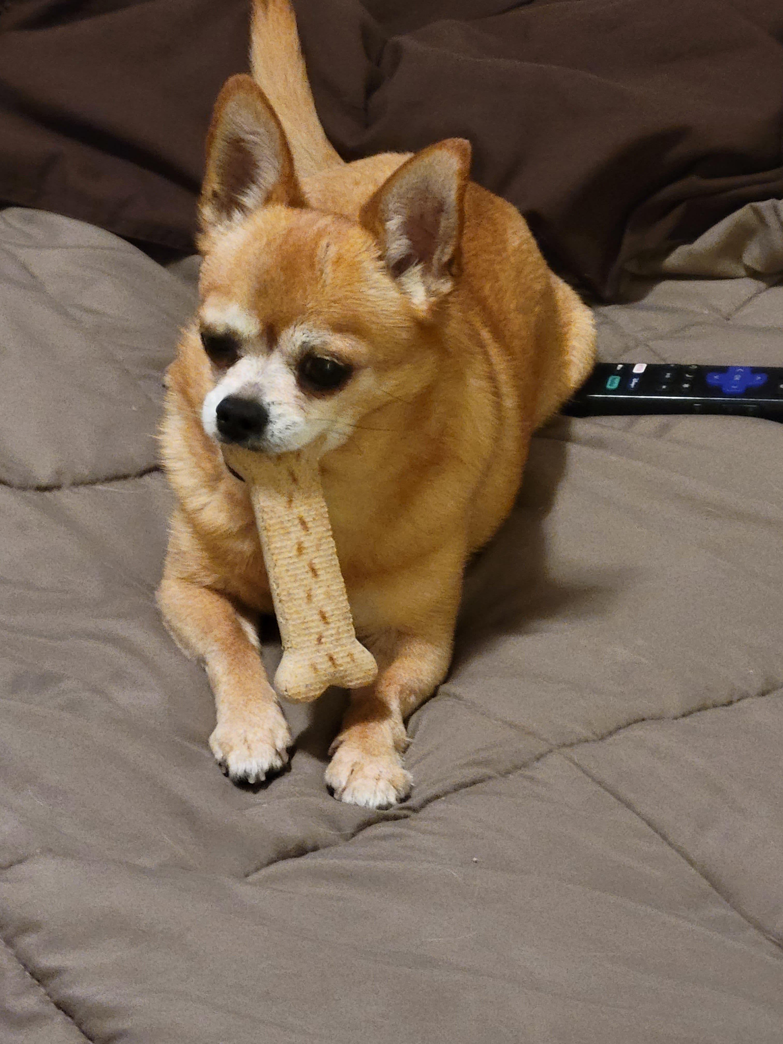 Chloe Chloe