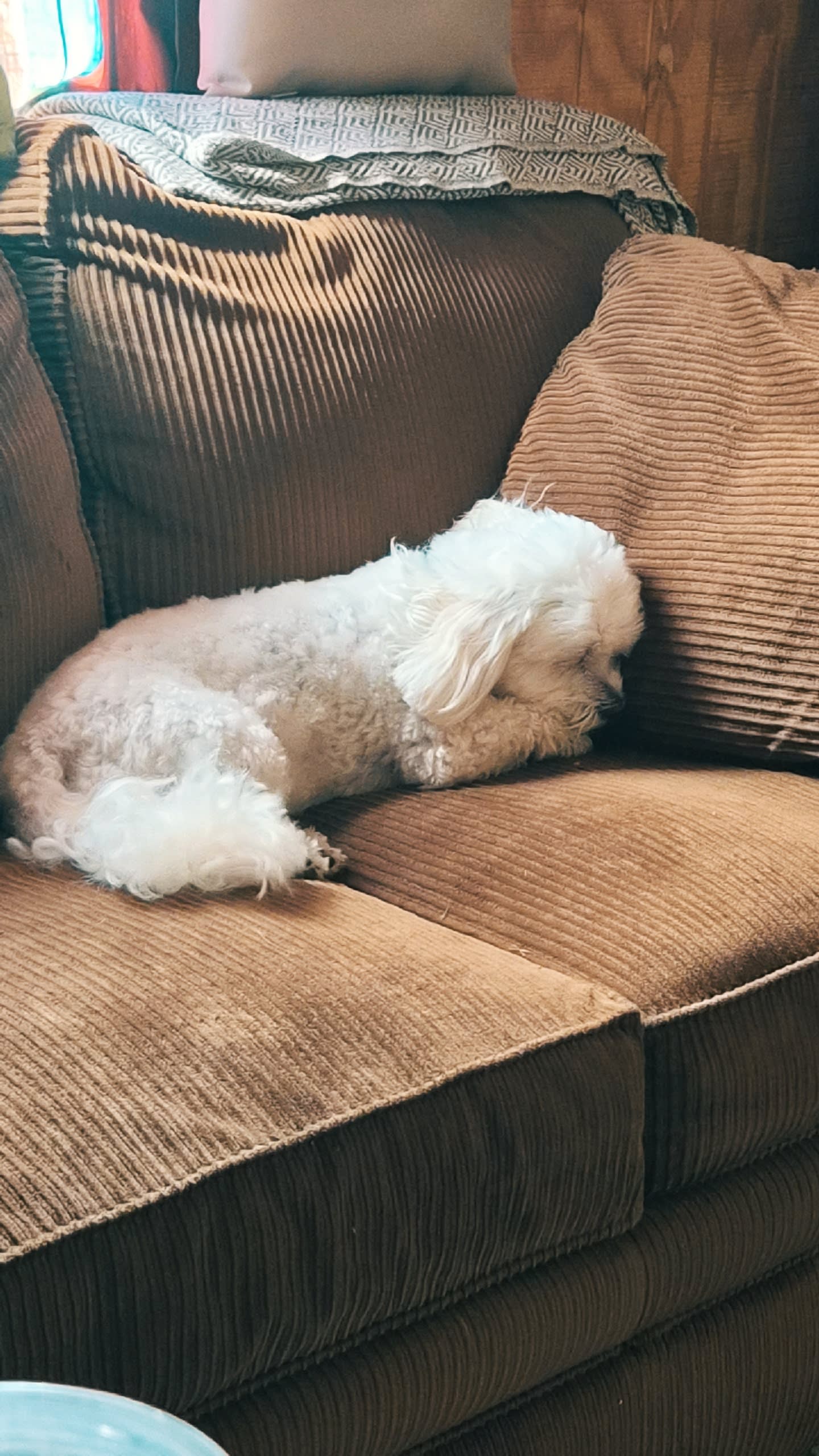 Milo