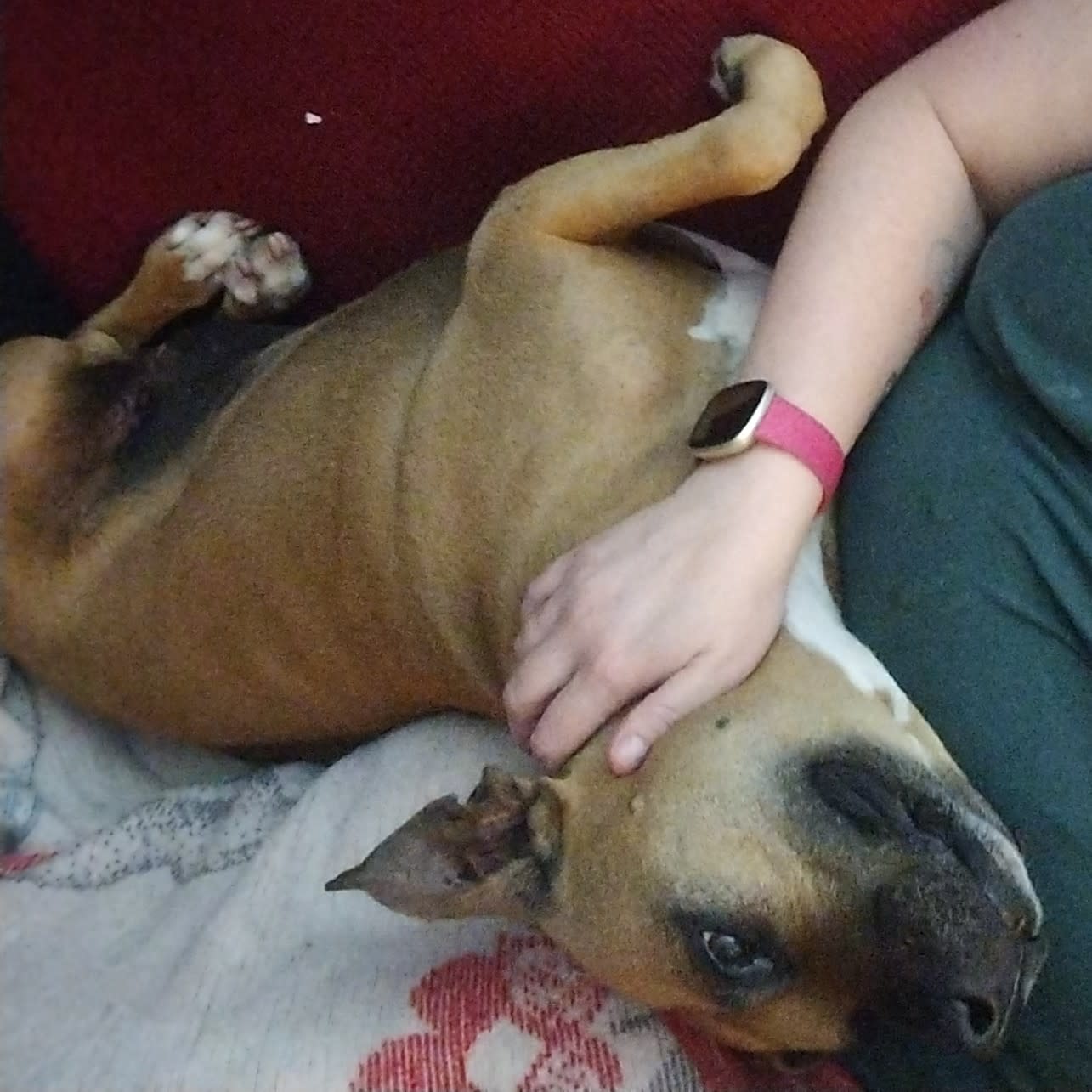 Harley
