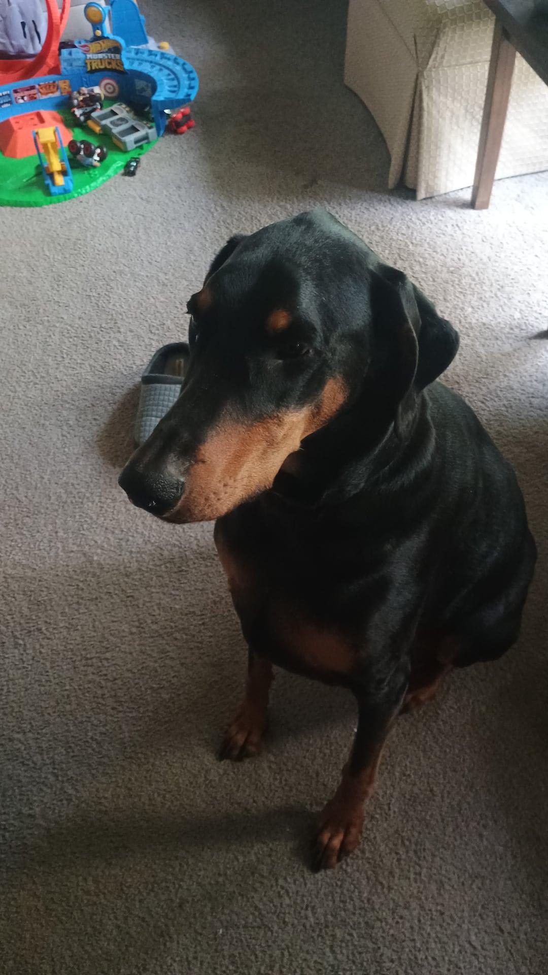 Oscar