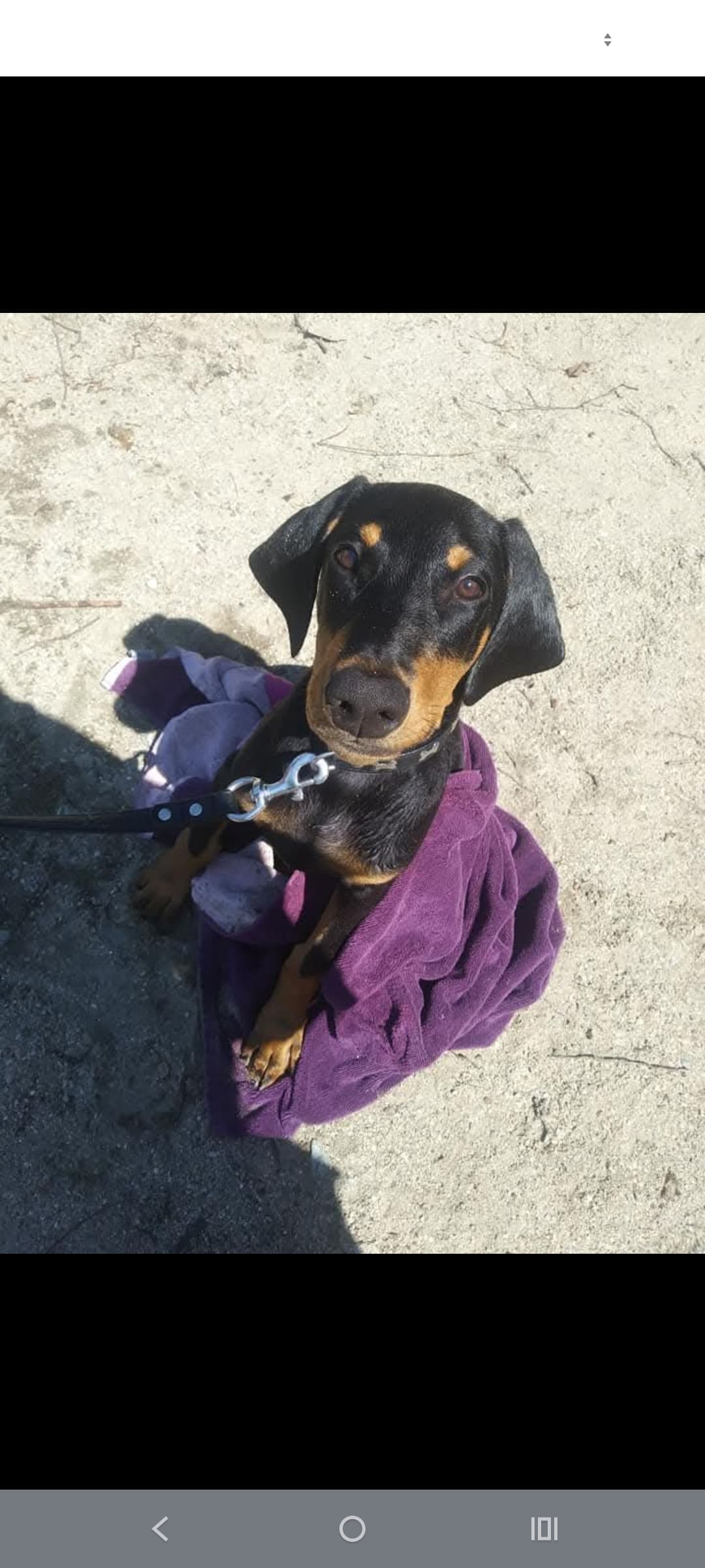 Oscar