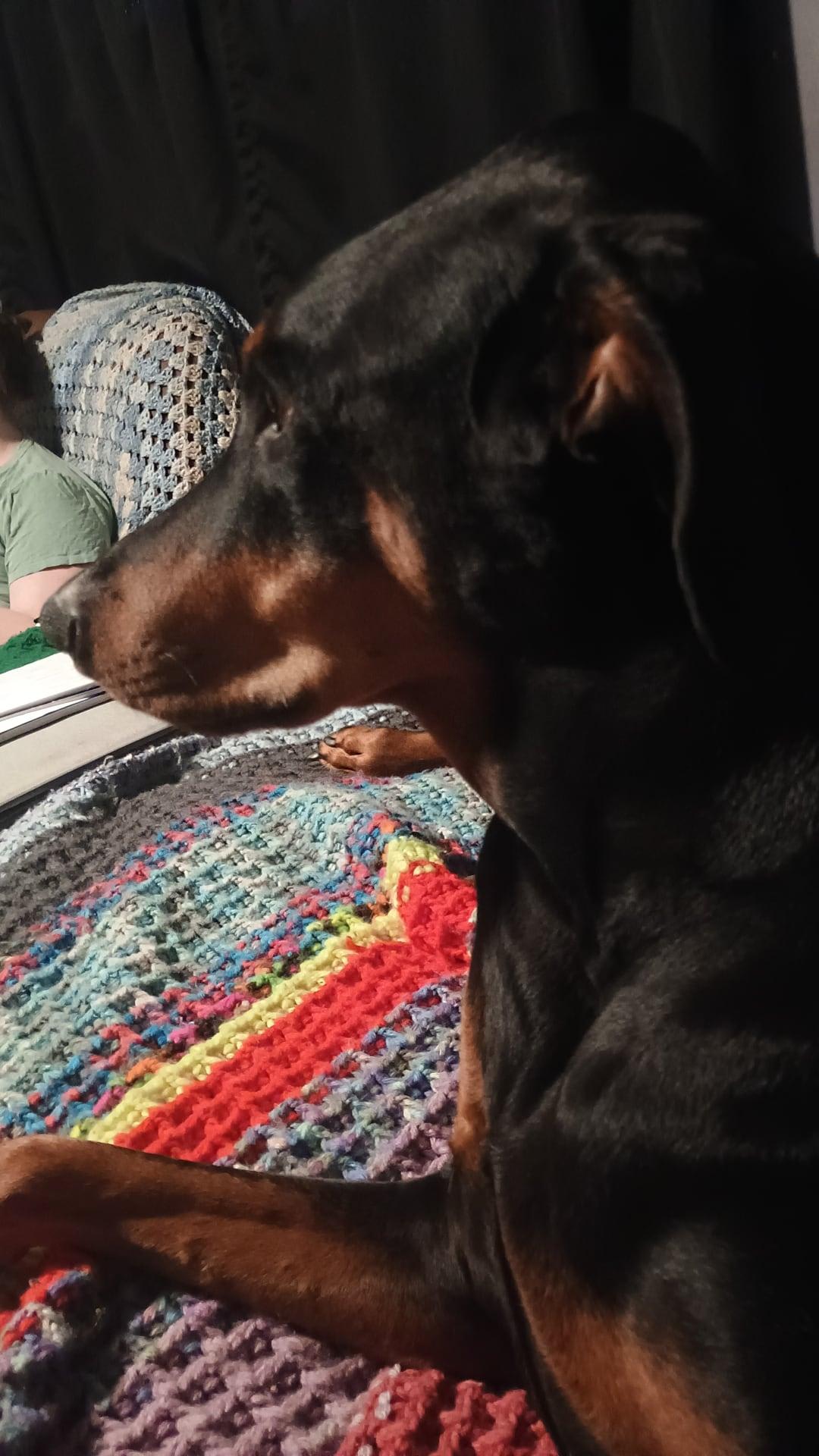 Oscar
