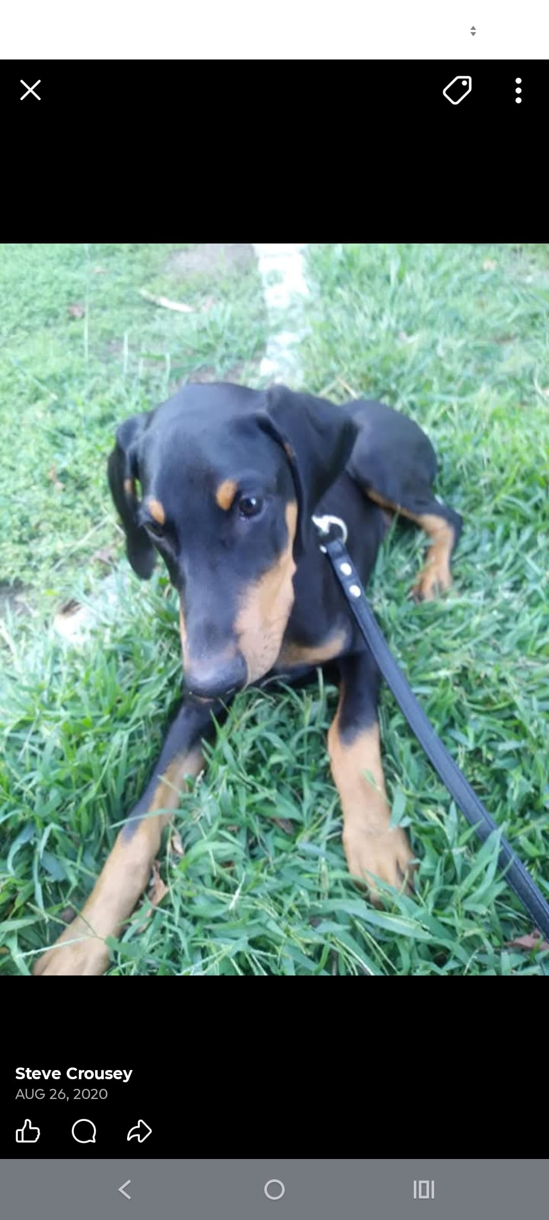 Oscar