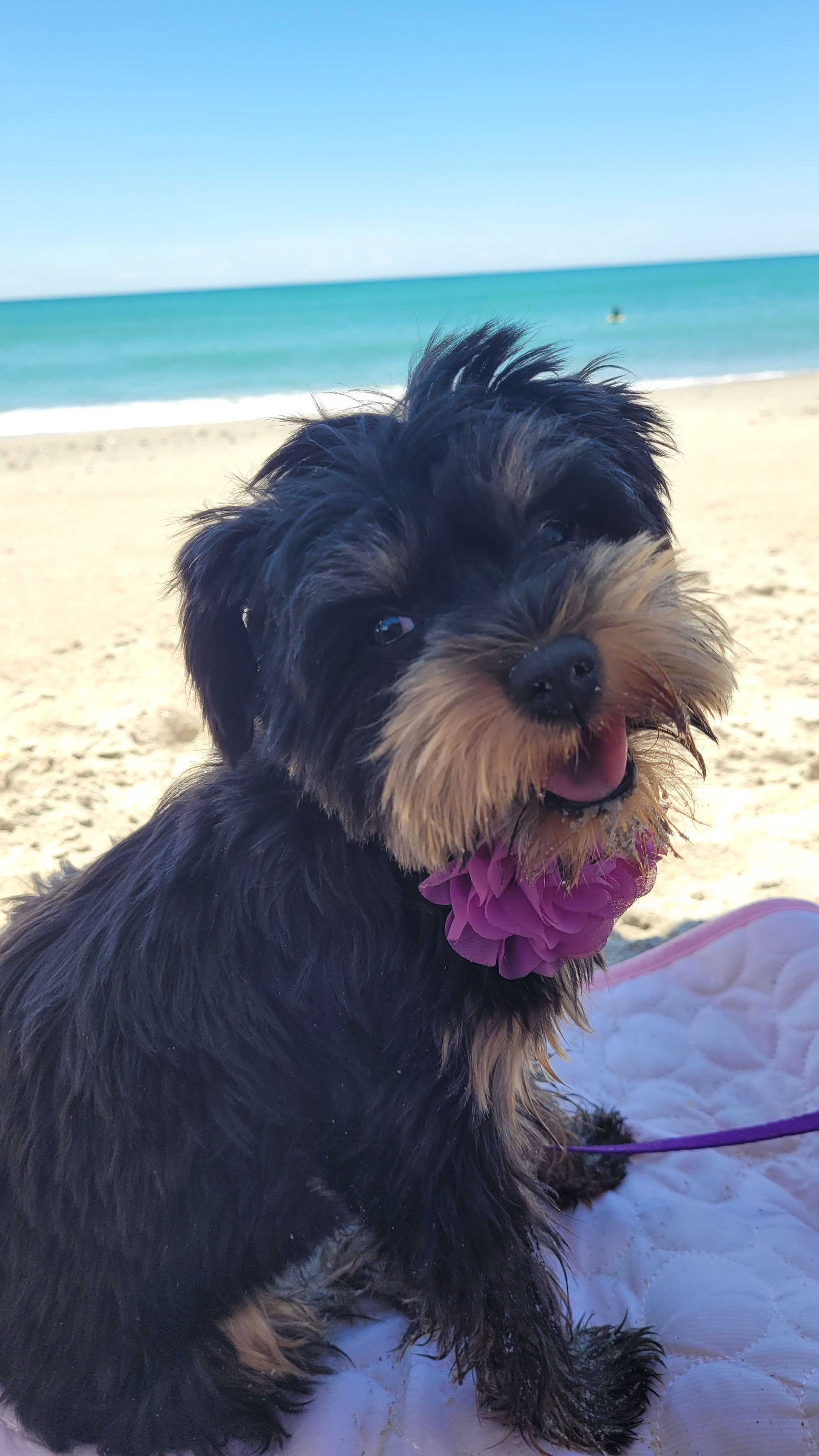 Josie