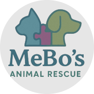 Mebo’s Animal Rescue