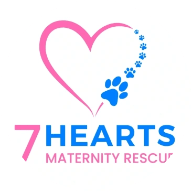 7 Hearts Maternity Rescue