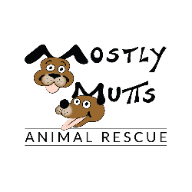Mostly Mutts in Kennesaw, Georgia
