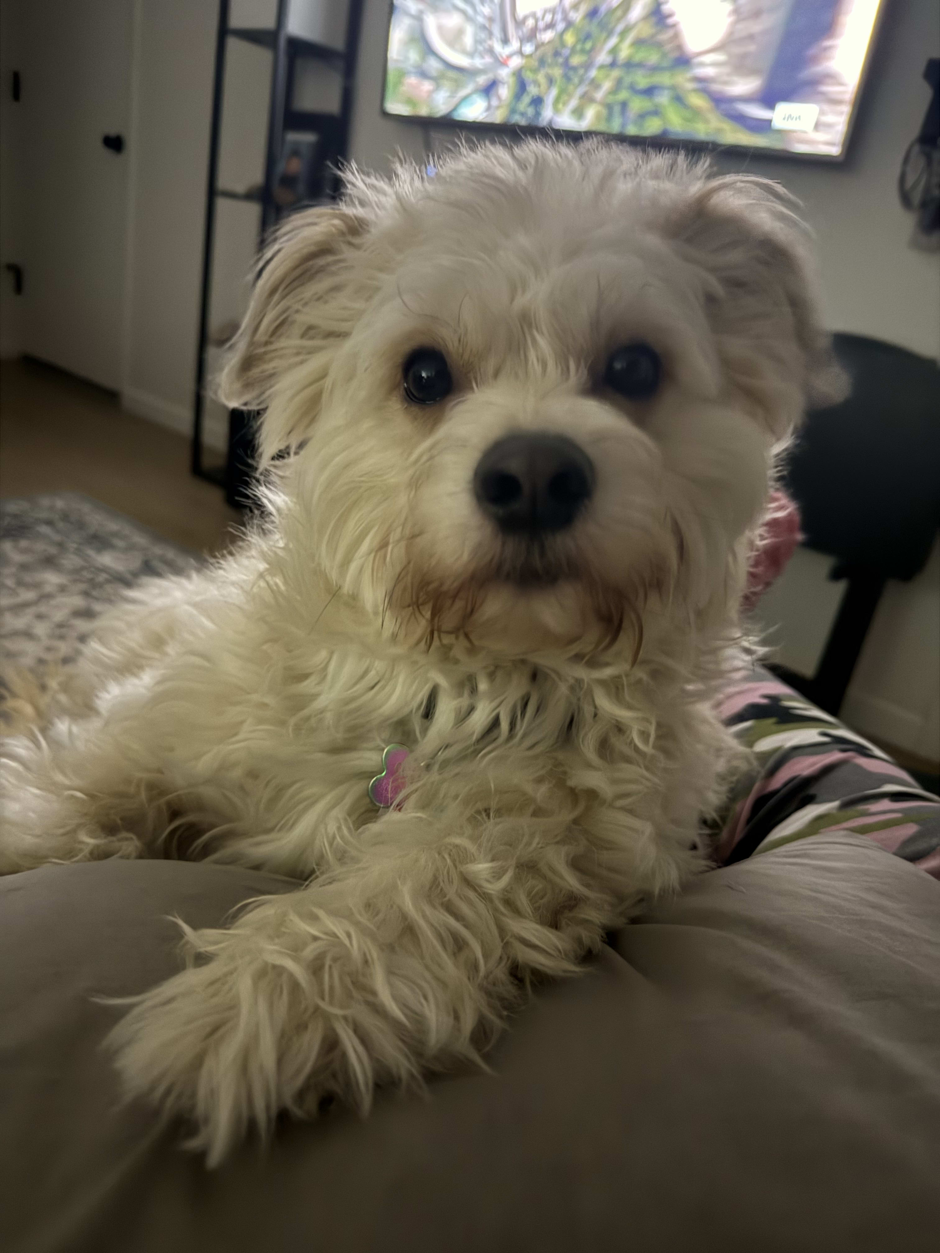 Charlie