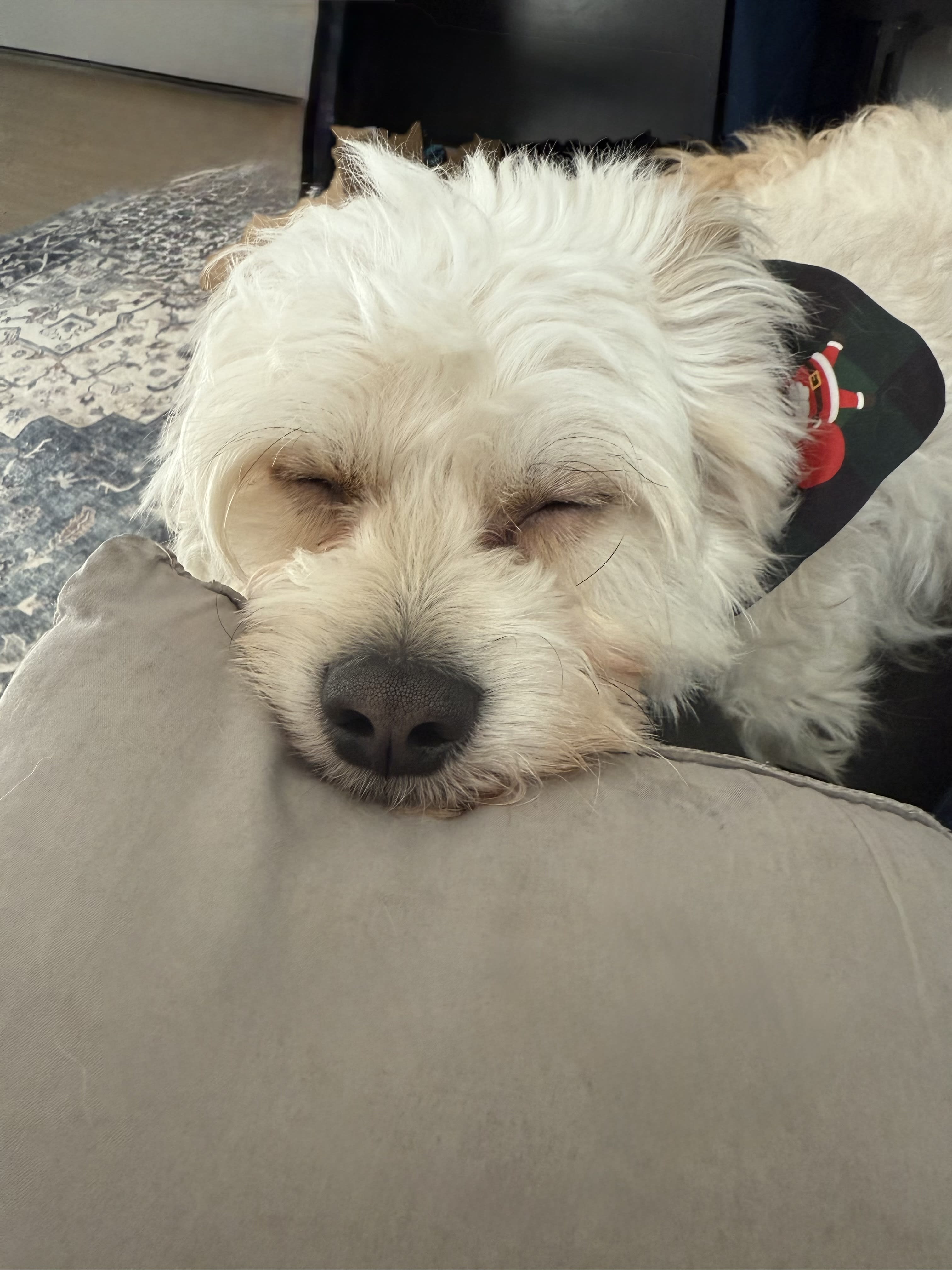 Charlie