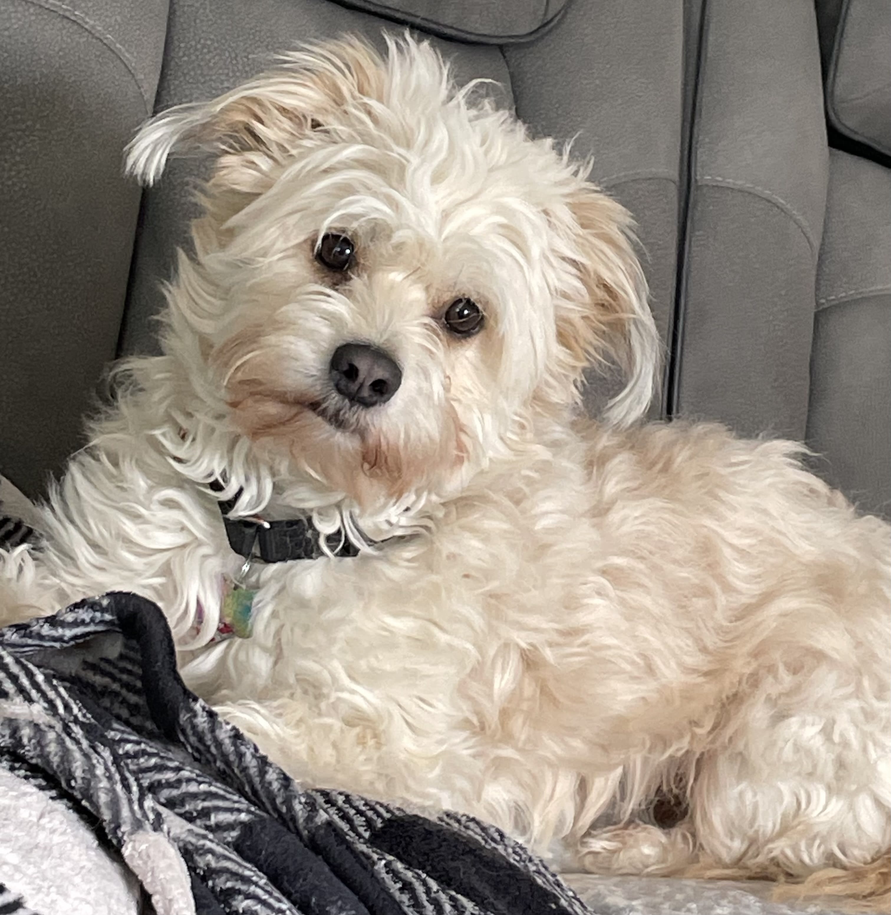 Charlie