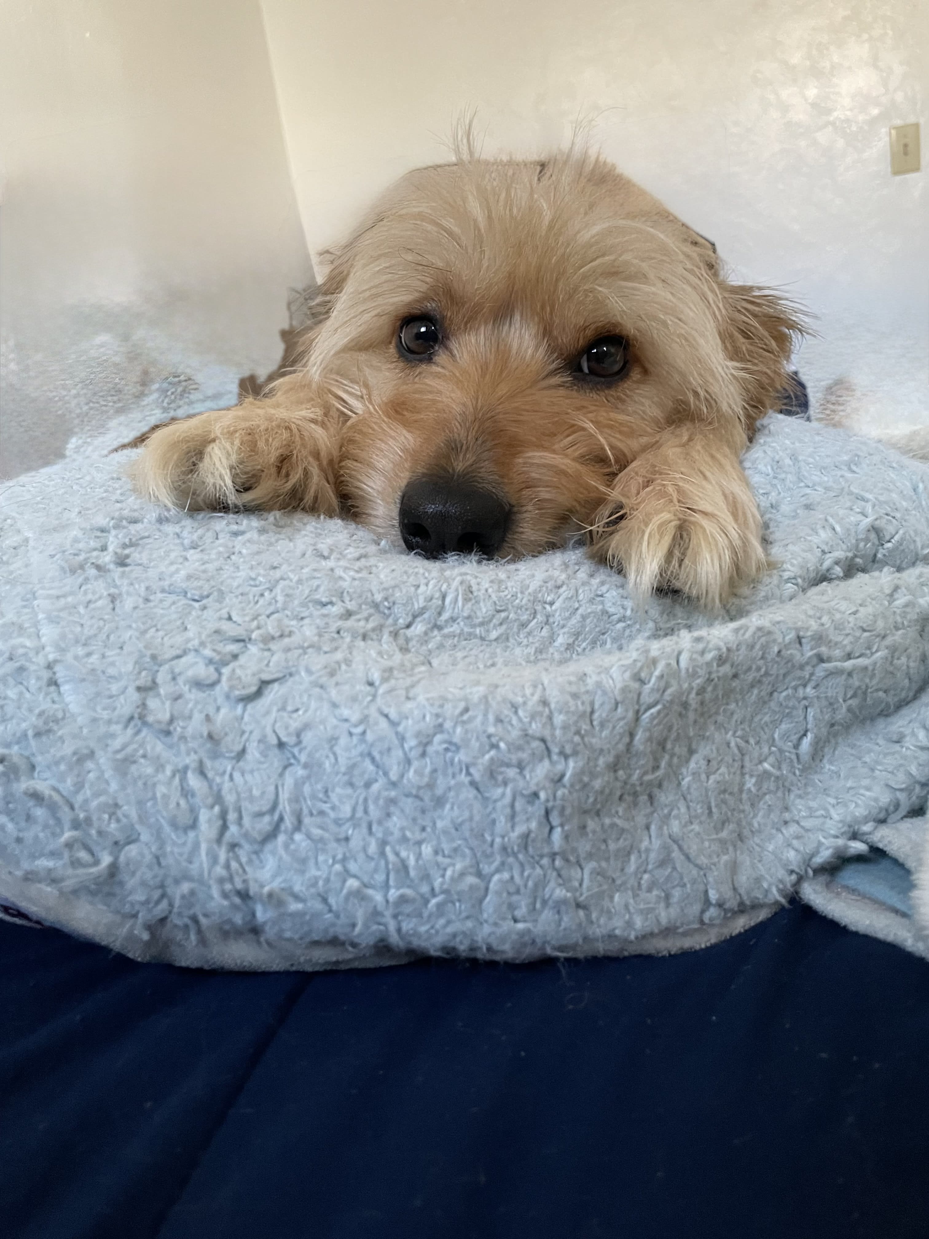 Charlie
