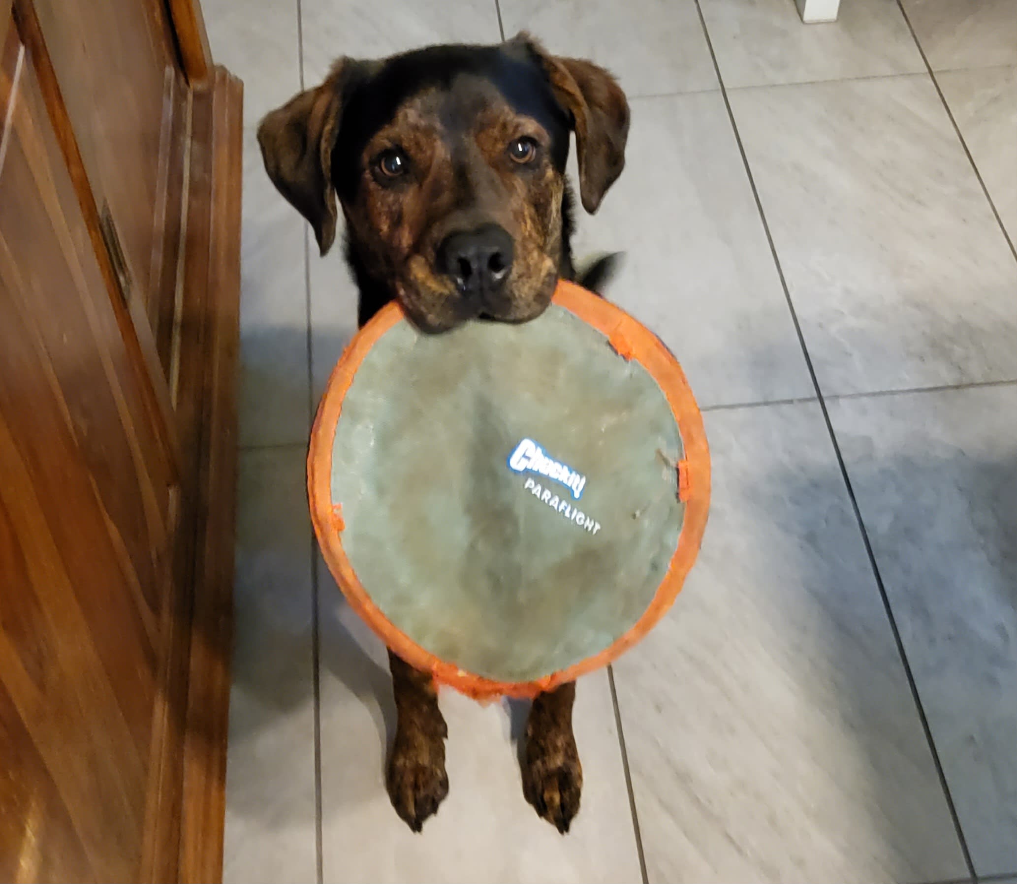 Brody Bjourn Brody Bjourn
