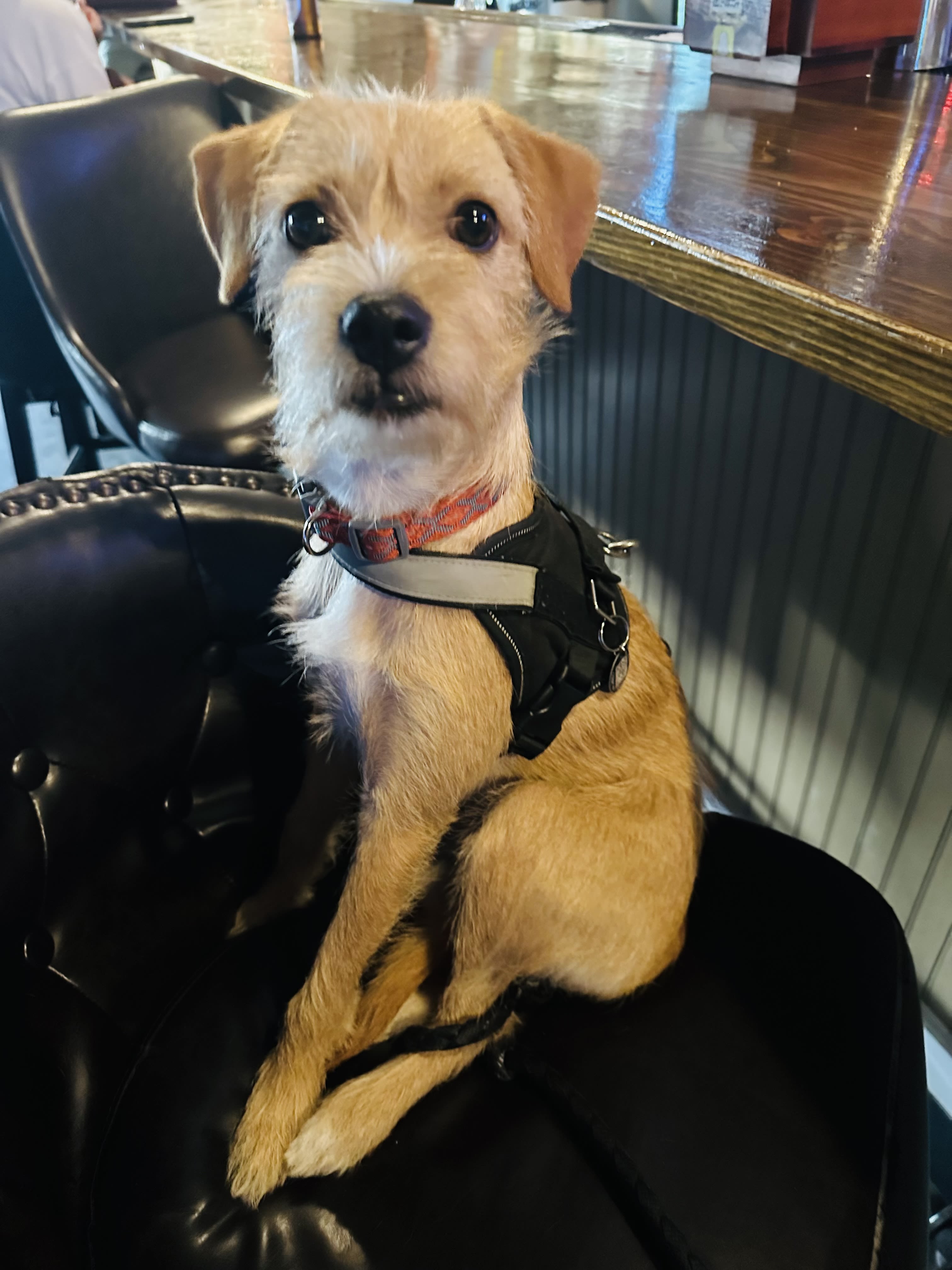 BENNY