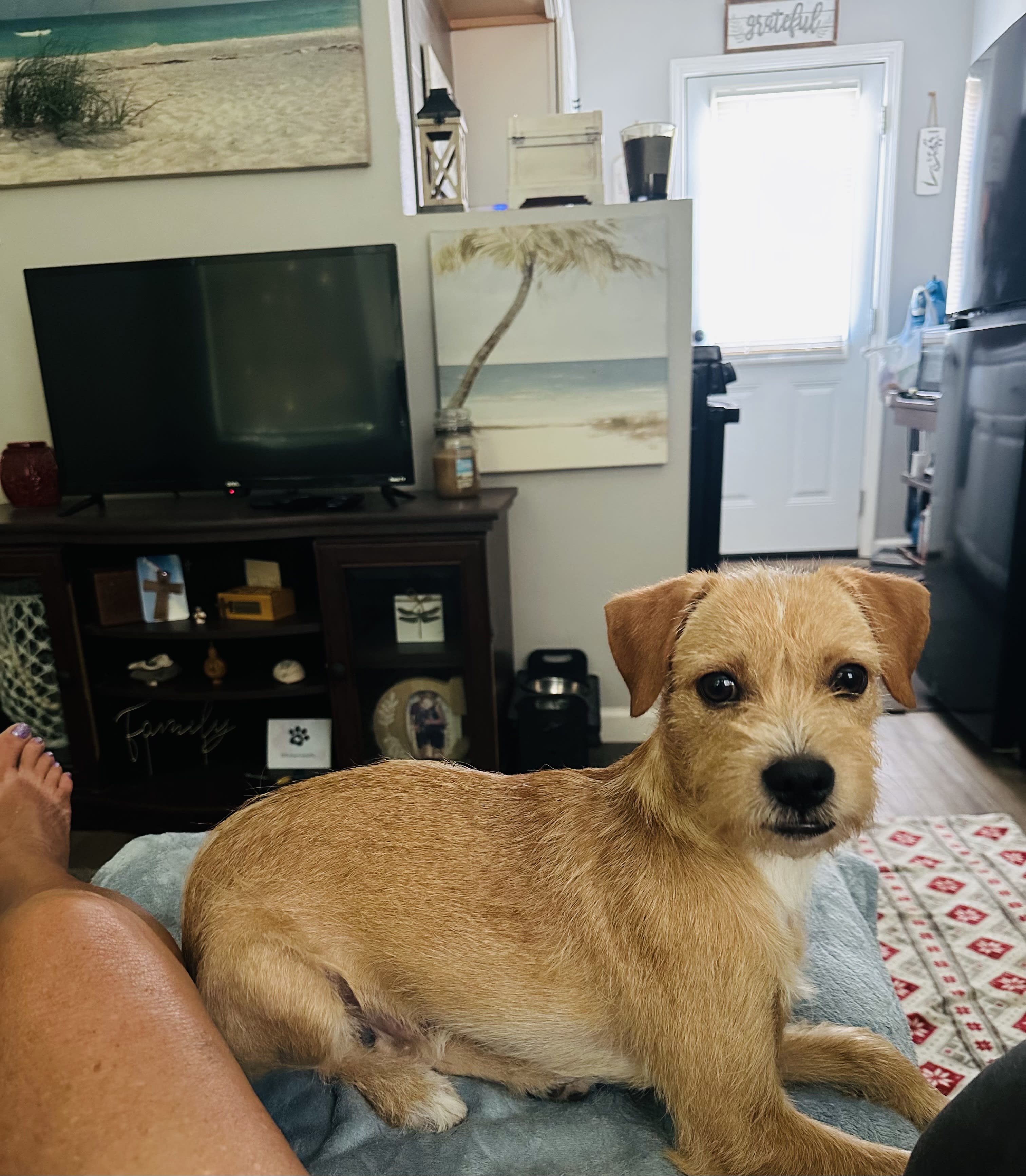 BENNY