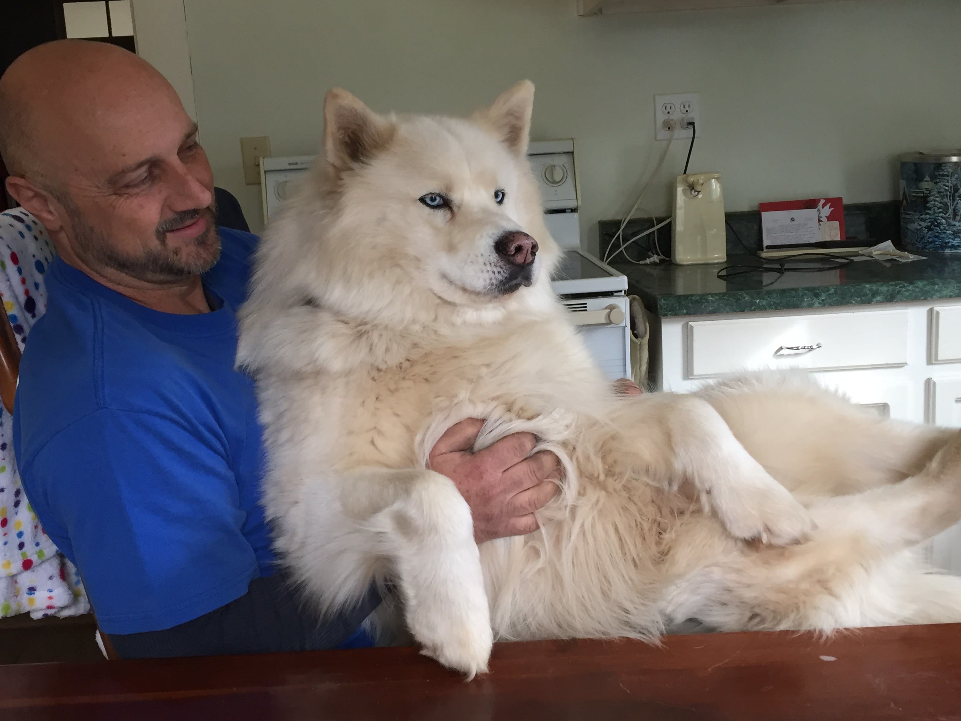 Bear Bear
