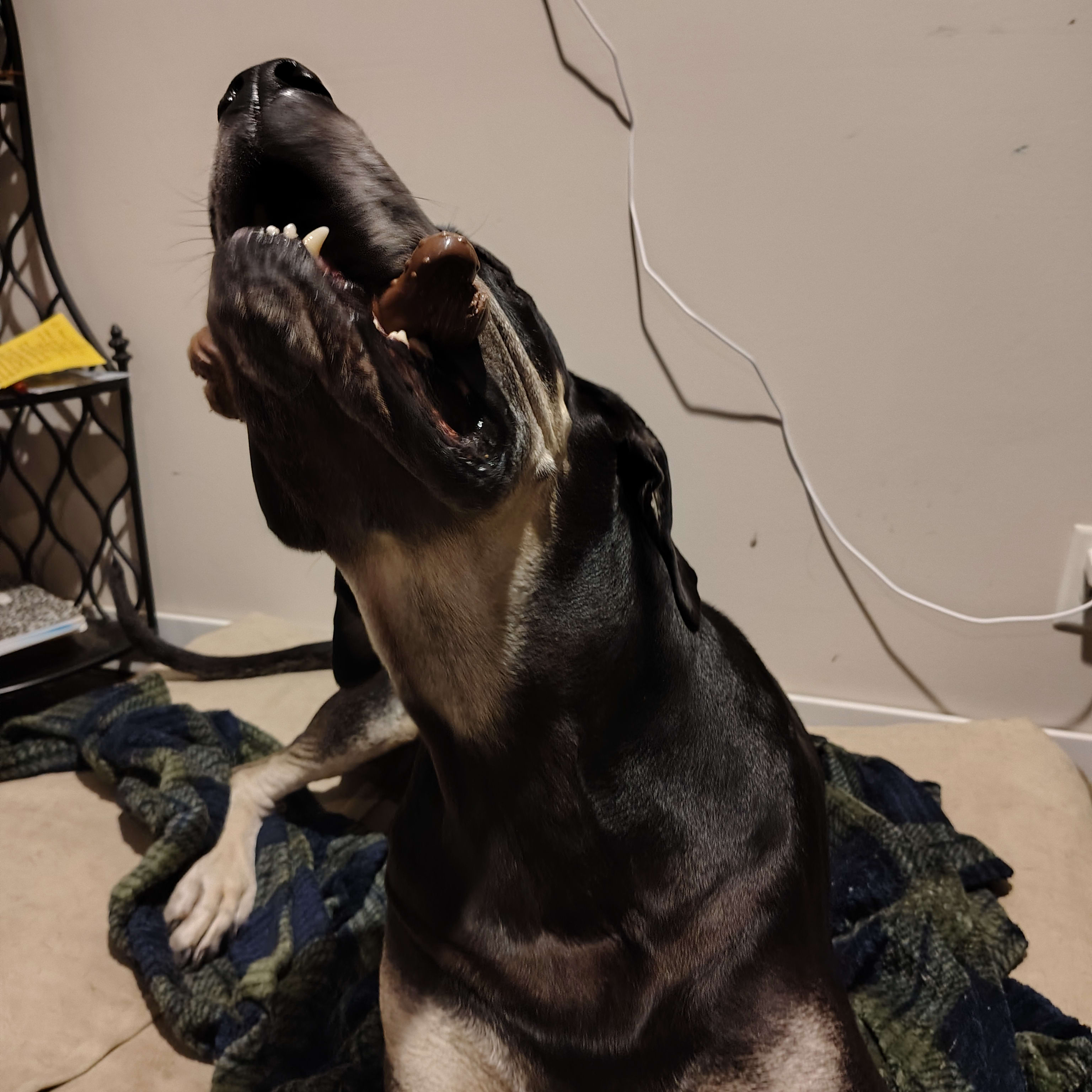 Onix