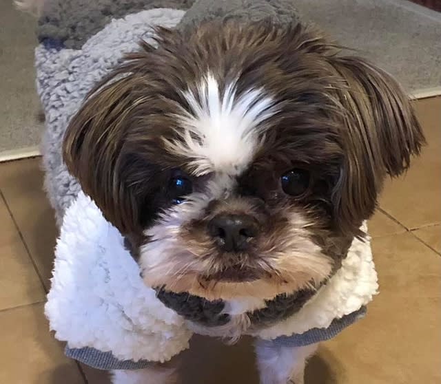 Lulu Belle Lulu Belle
