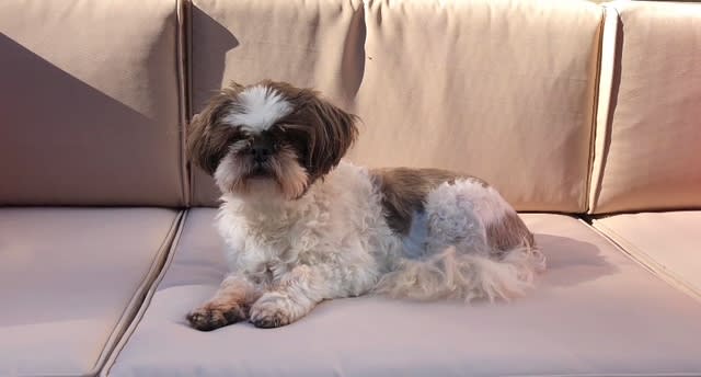 Lulu Belle Lulu Belle