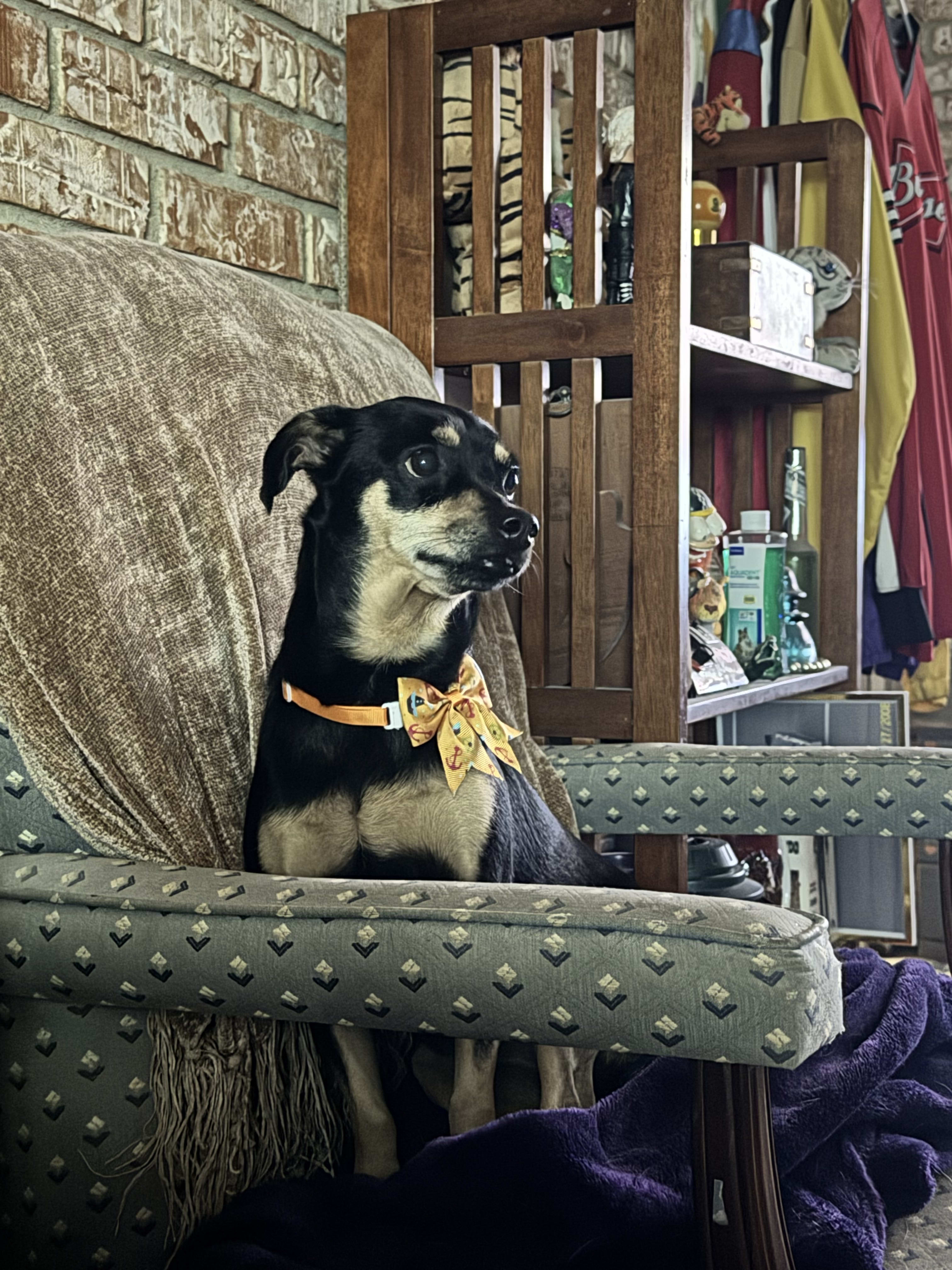 Maggie Mae
