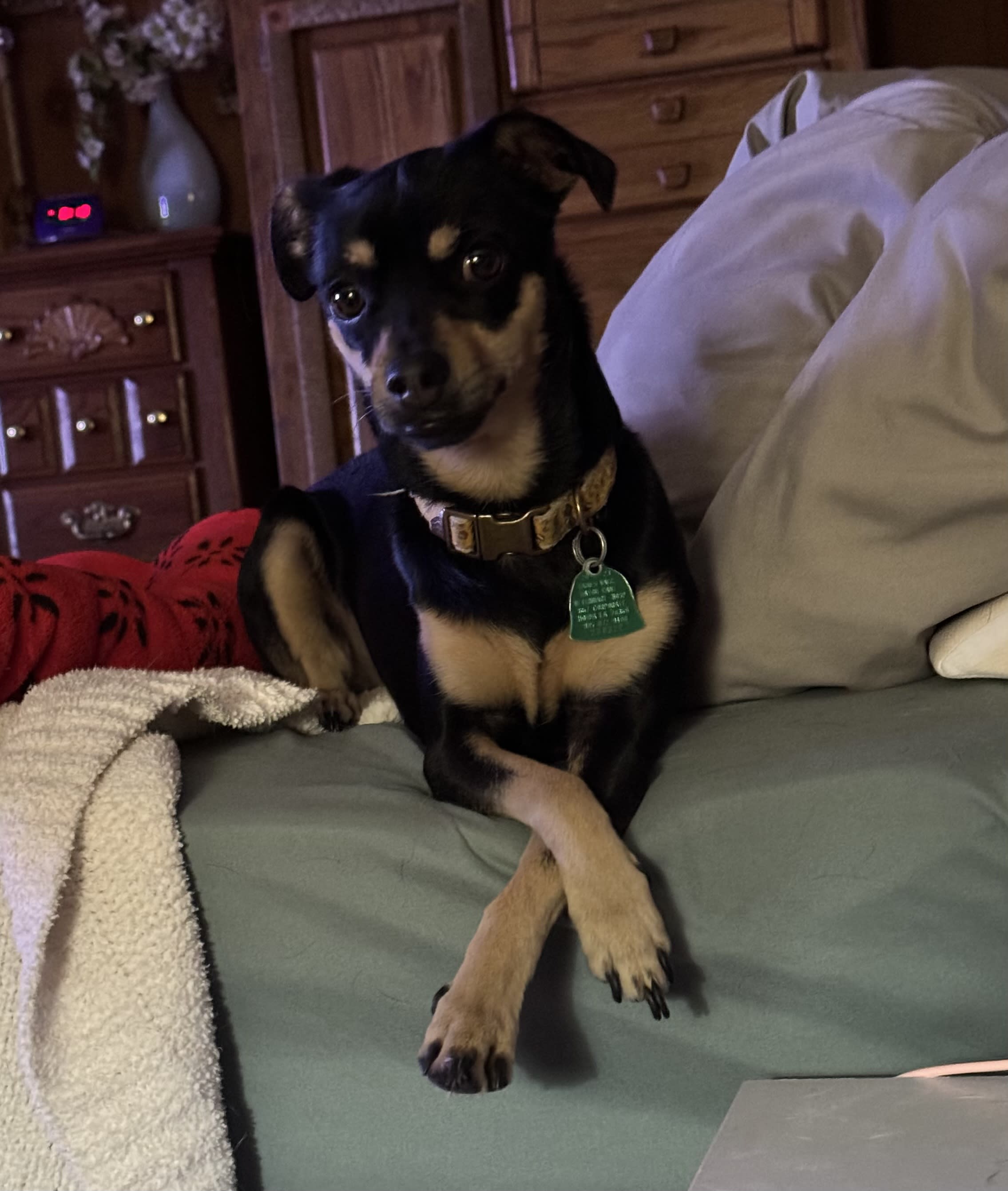 Maggie Mae