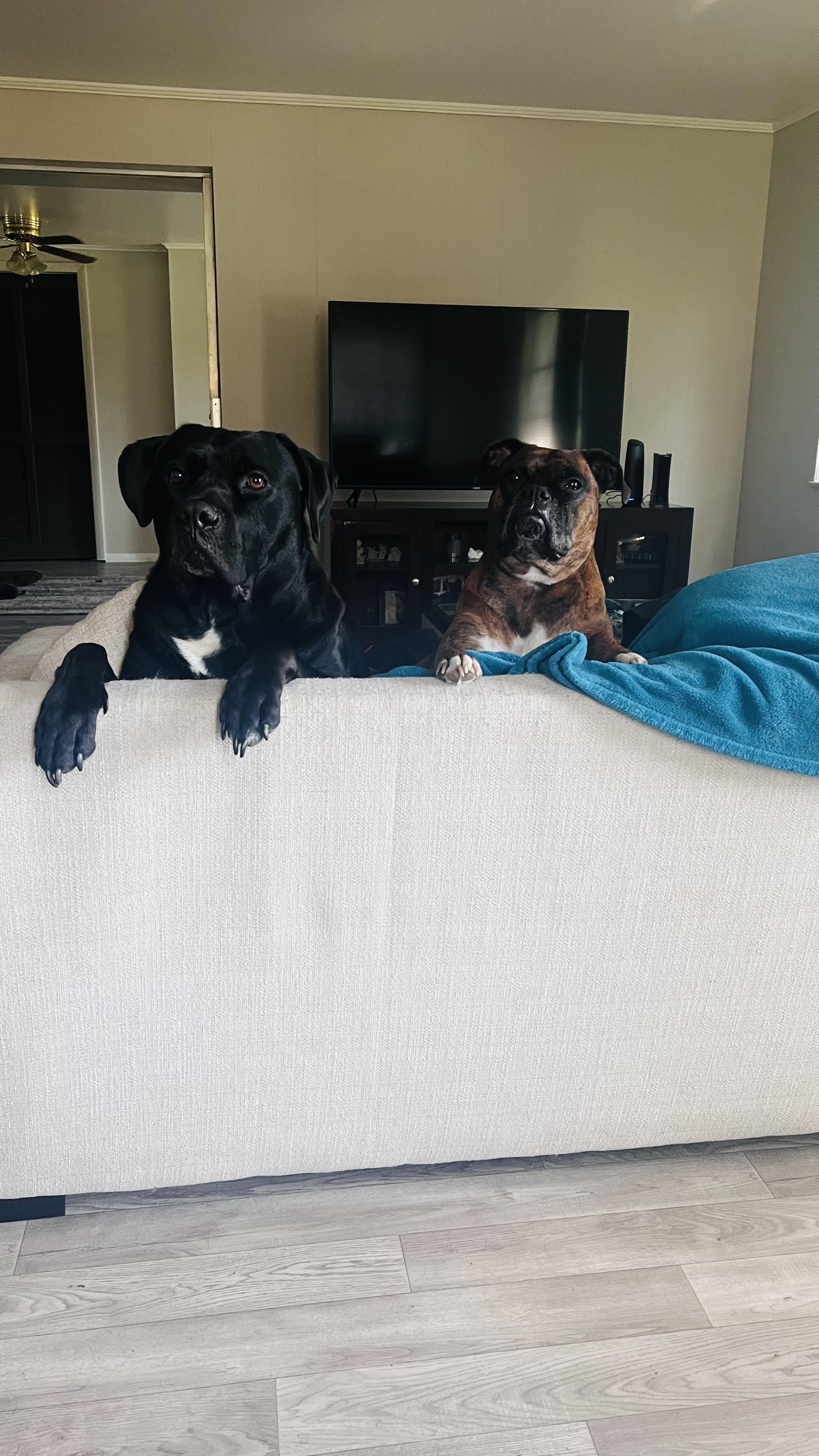 Levi and Layla