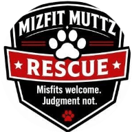 MizFit Mutts - Reno, NV