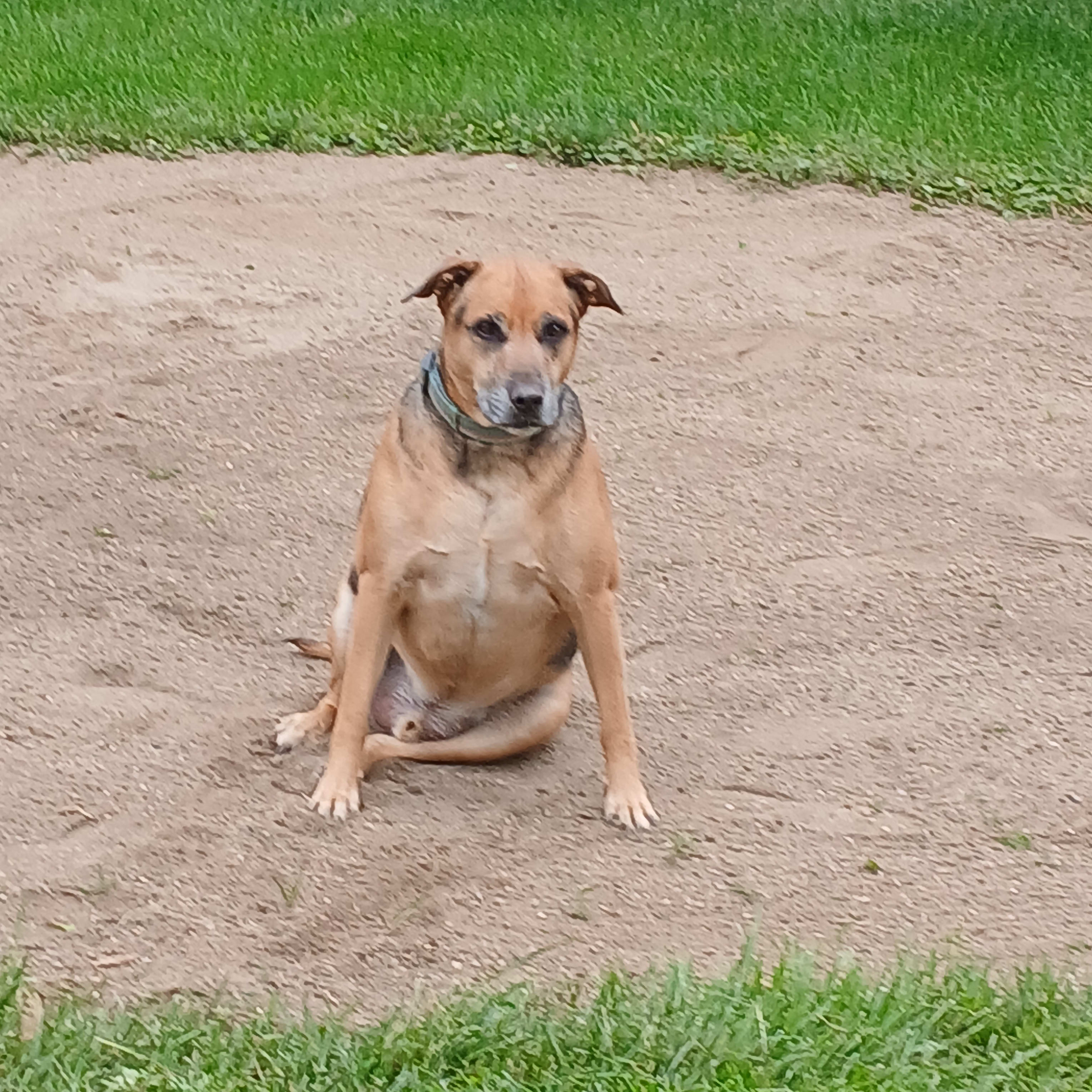 KODI