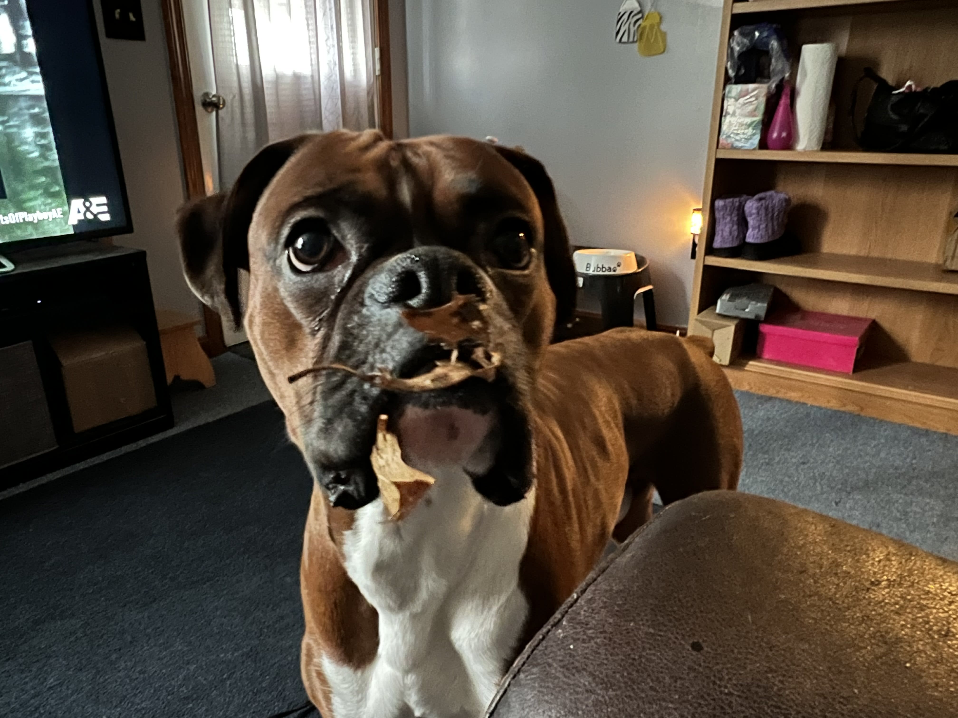 Bubba