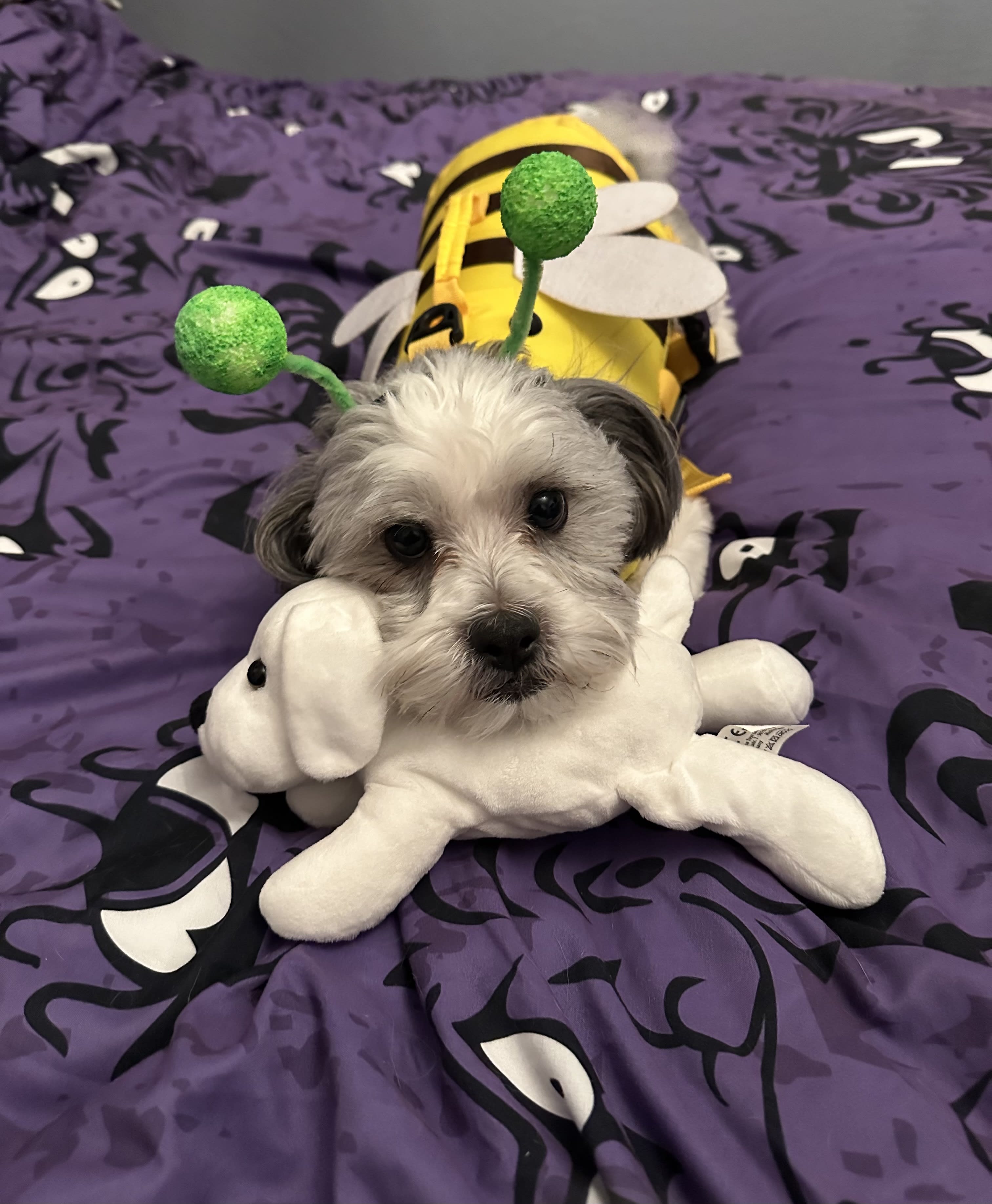 Franklin