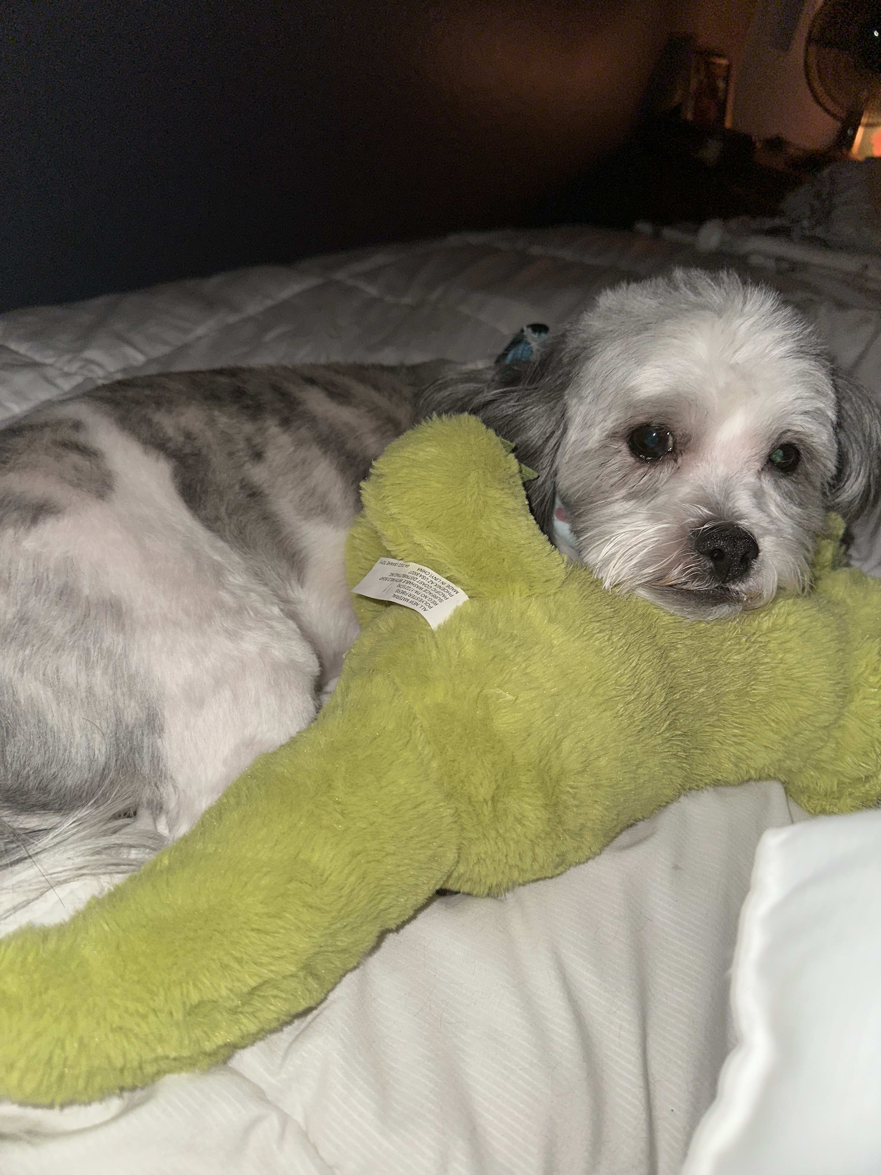 Franklin