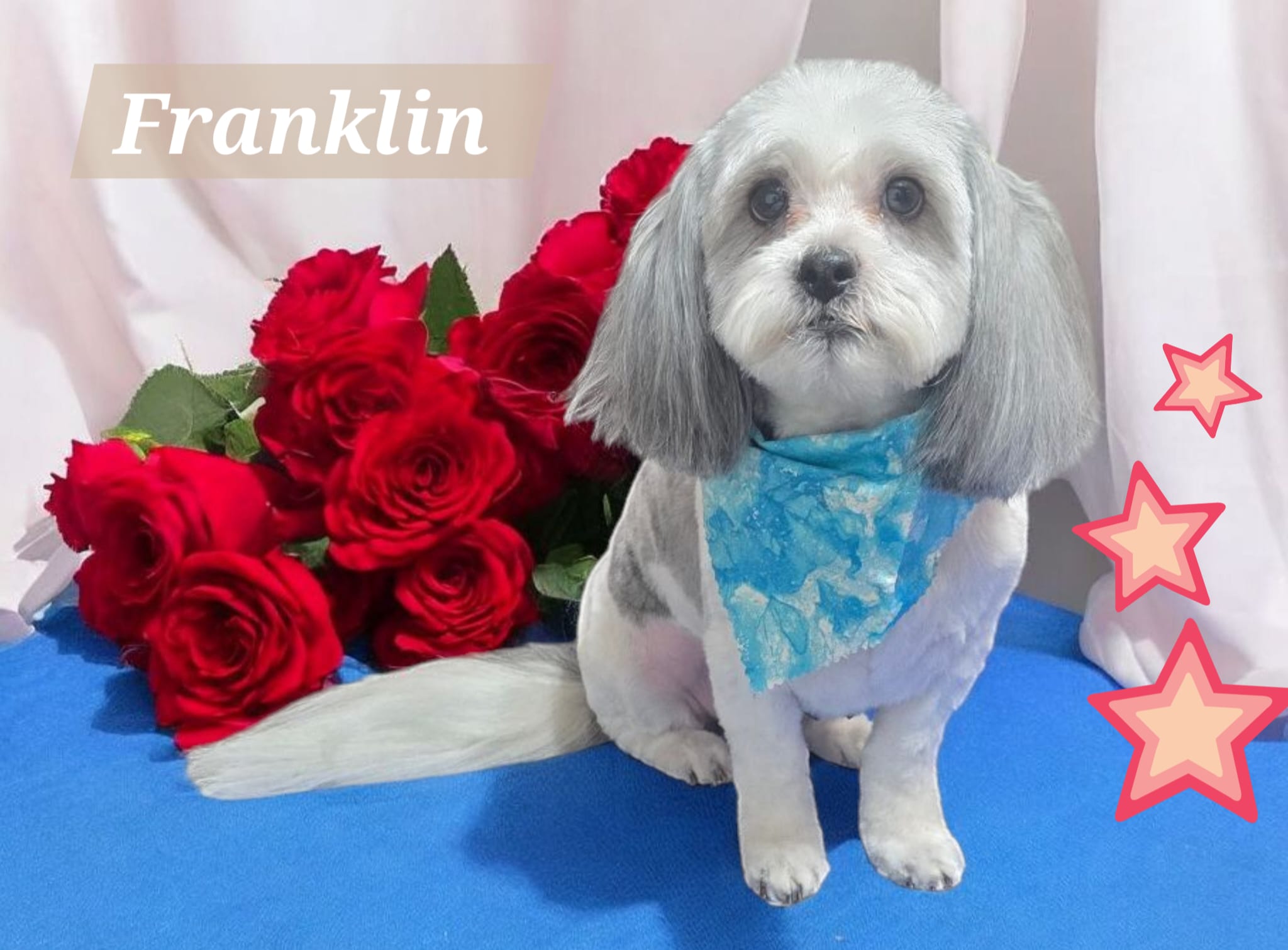 Franklin