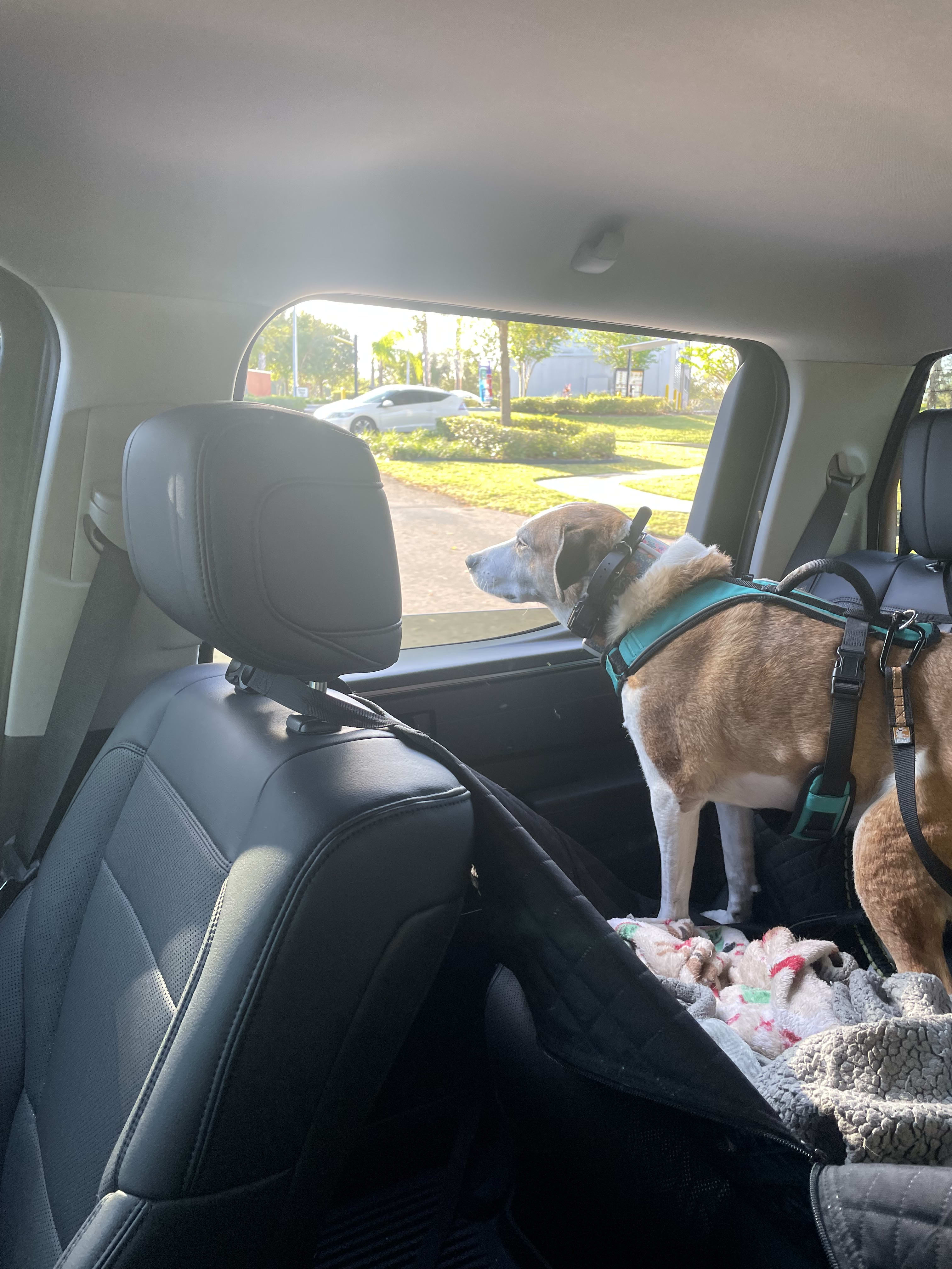 Annabelle and Cody