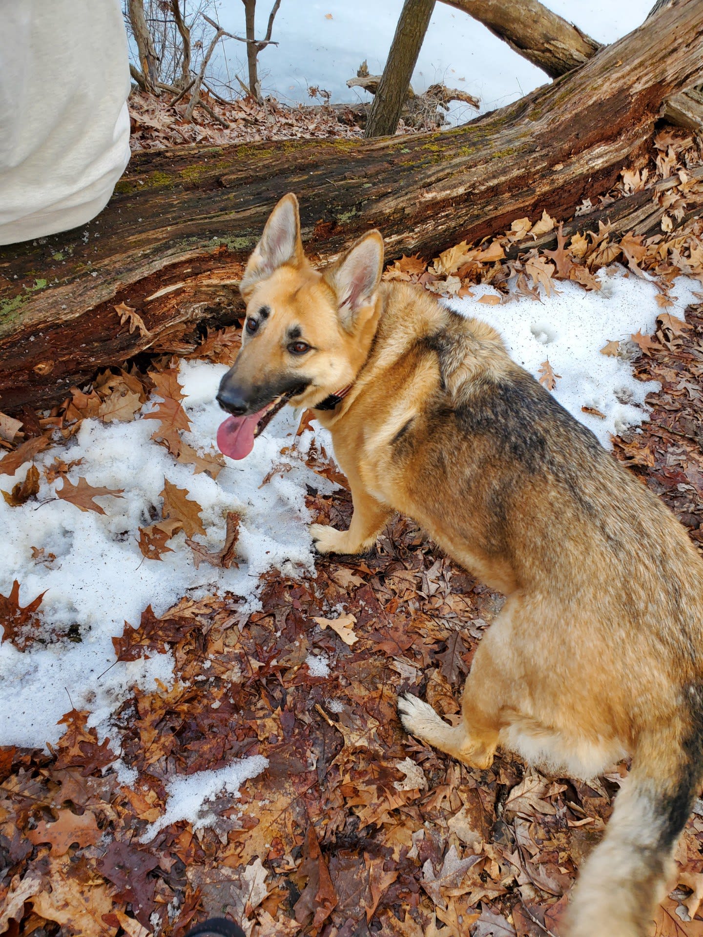 Athena