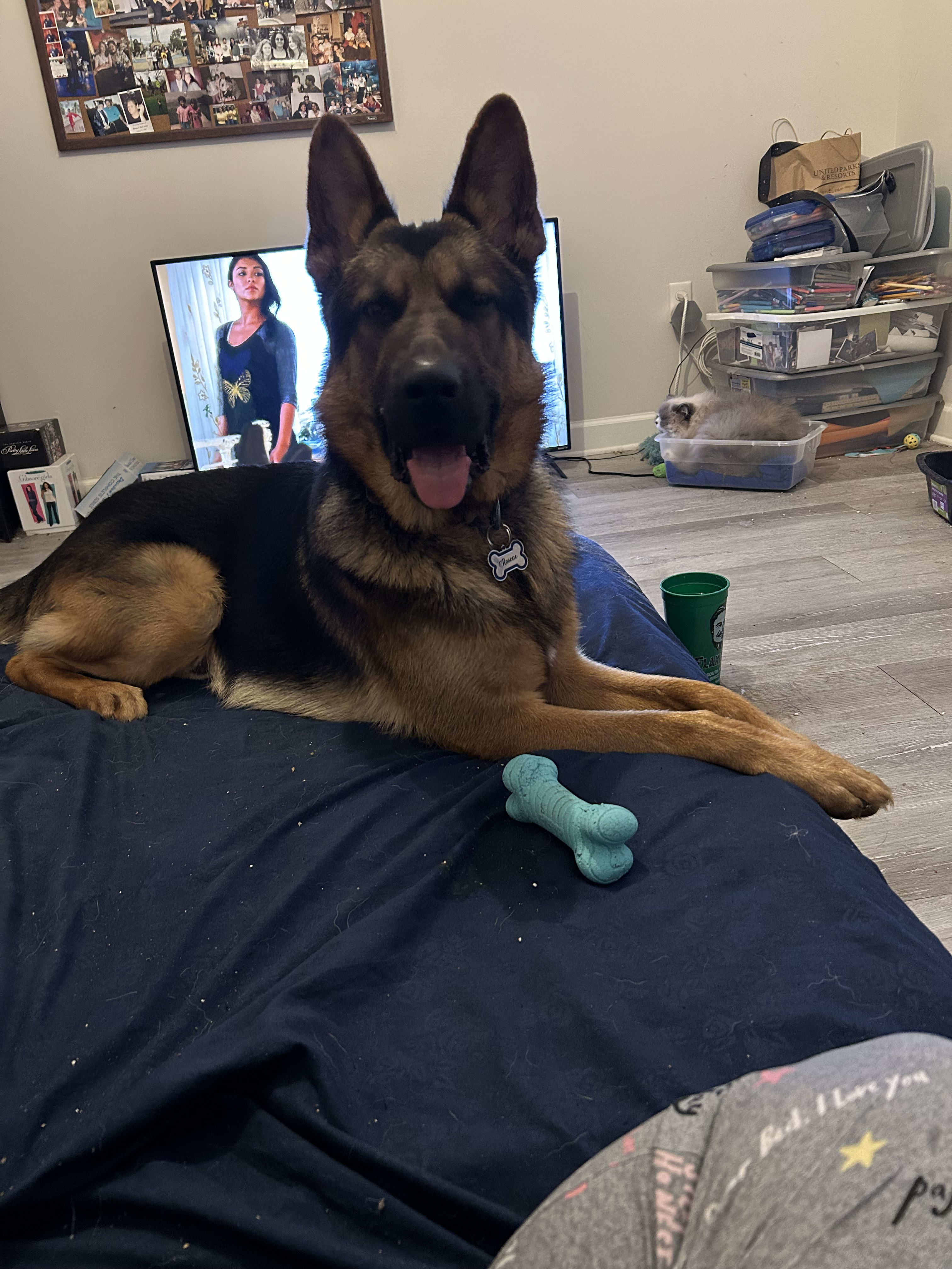 Roscoe