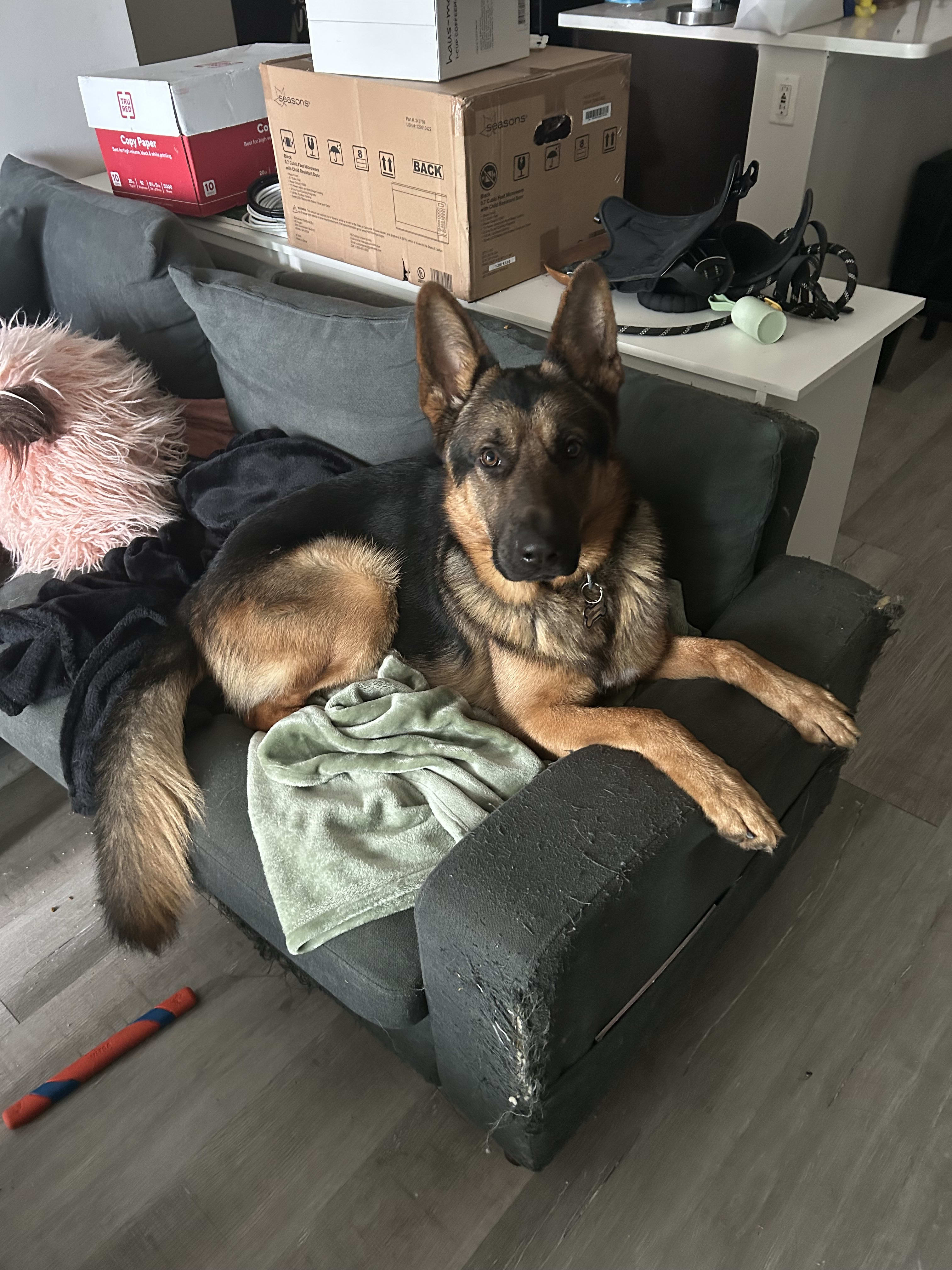 Roscoe