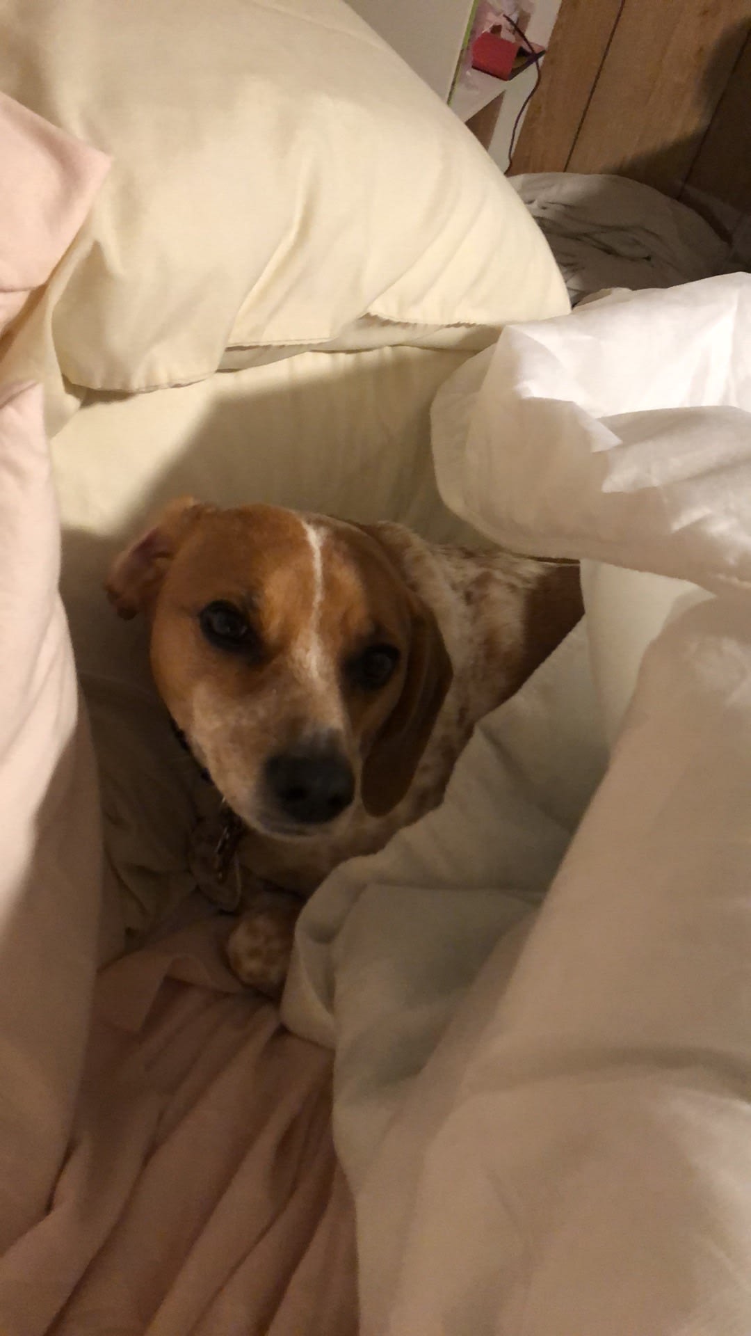 Chloe