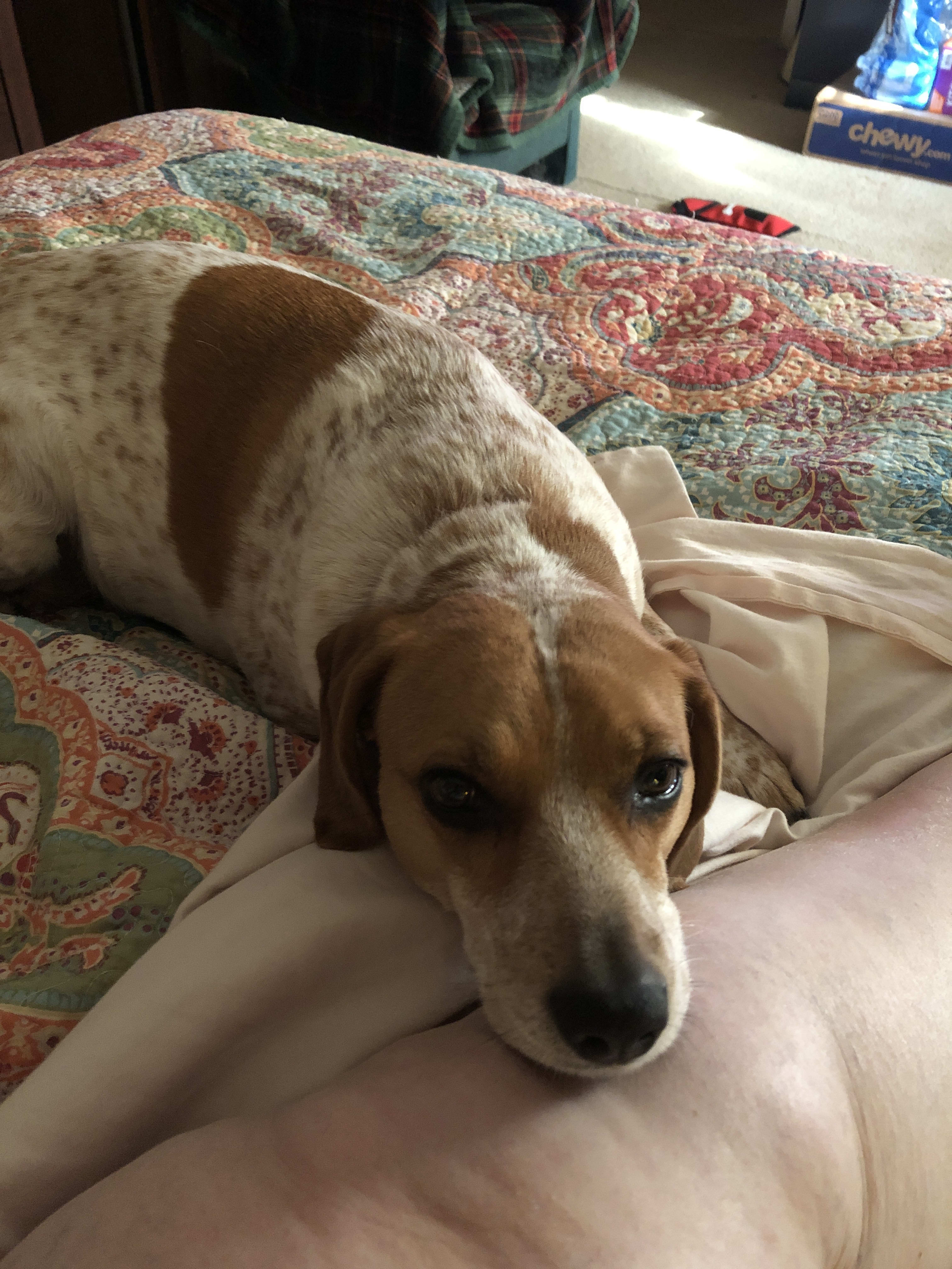 Chloe