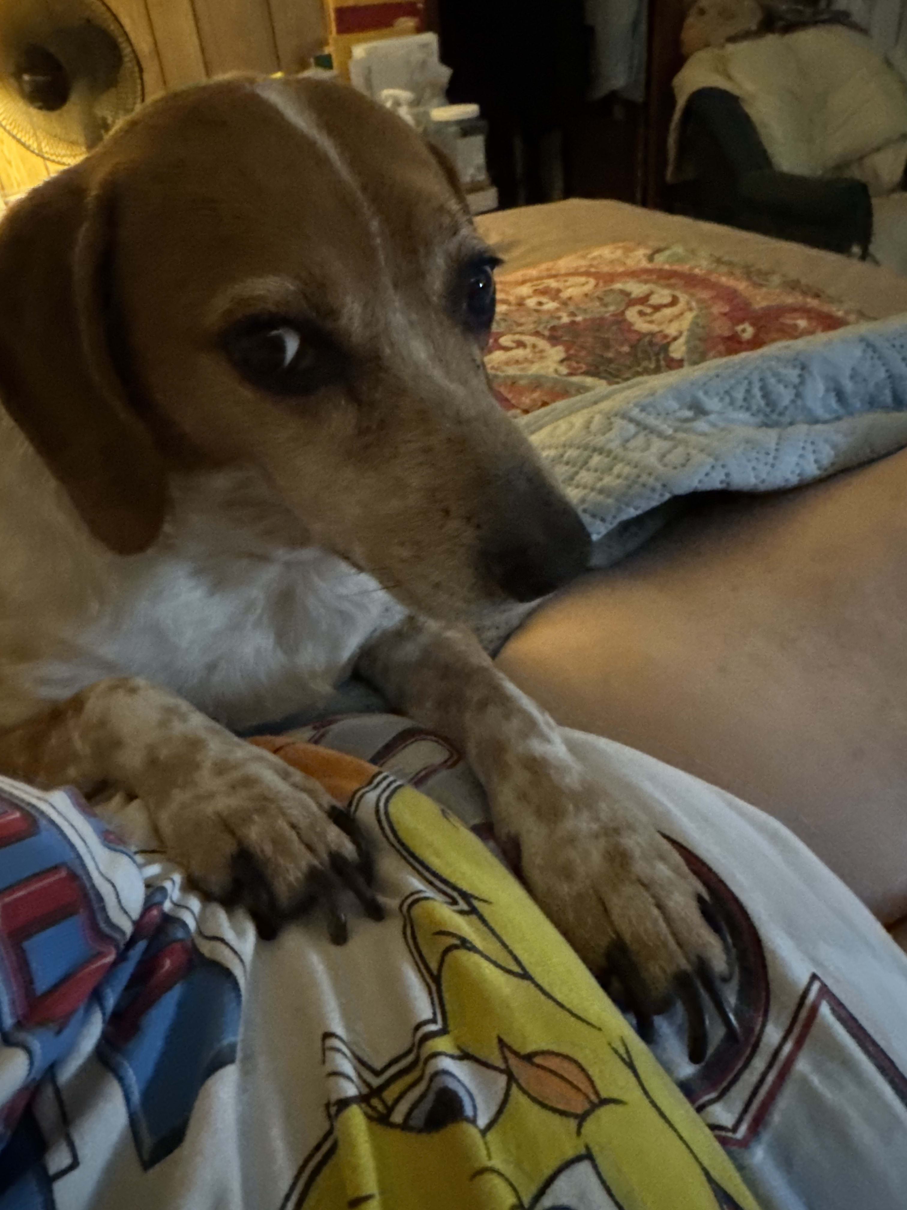 Chloe