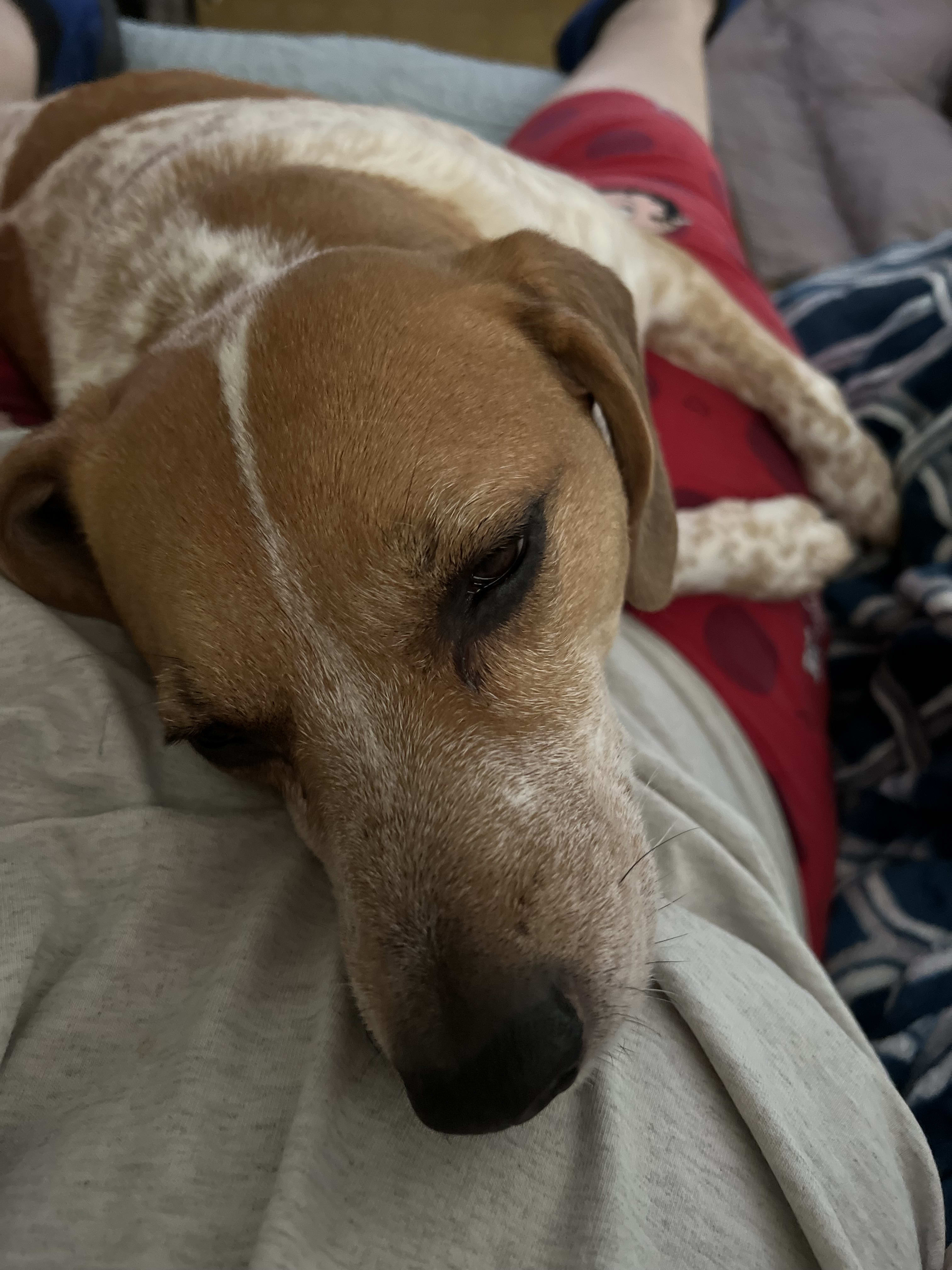 Chloe