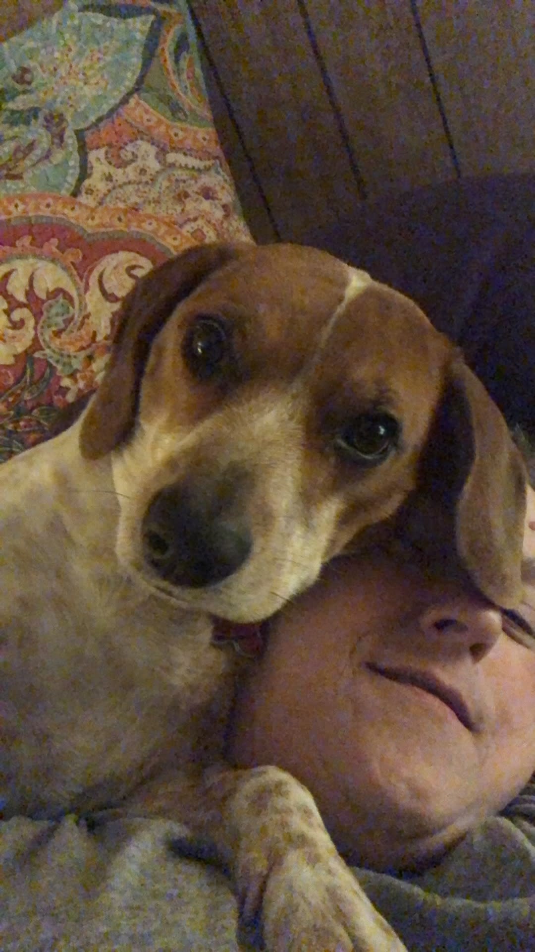 Chloe