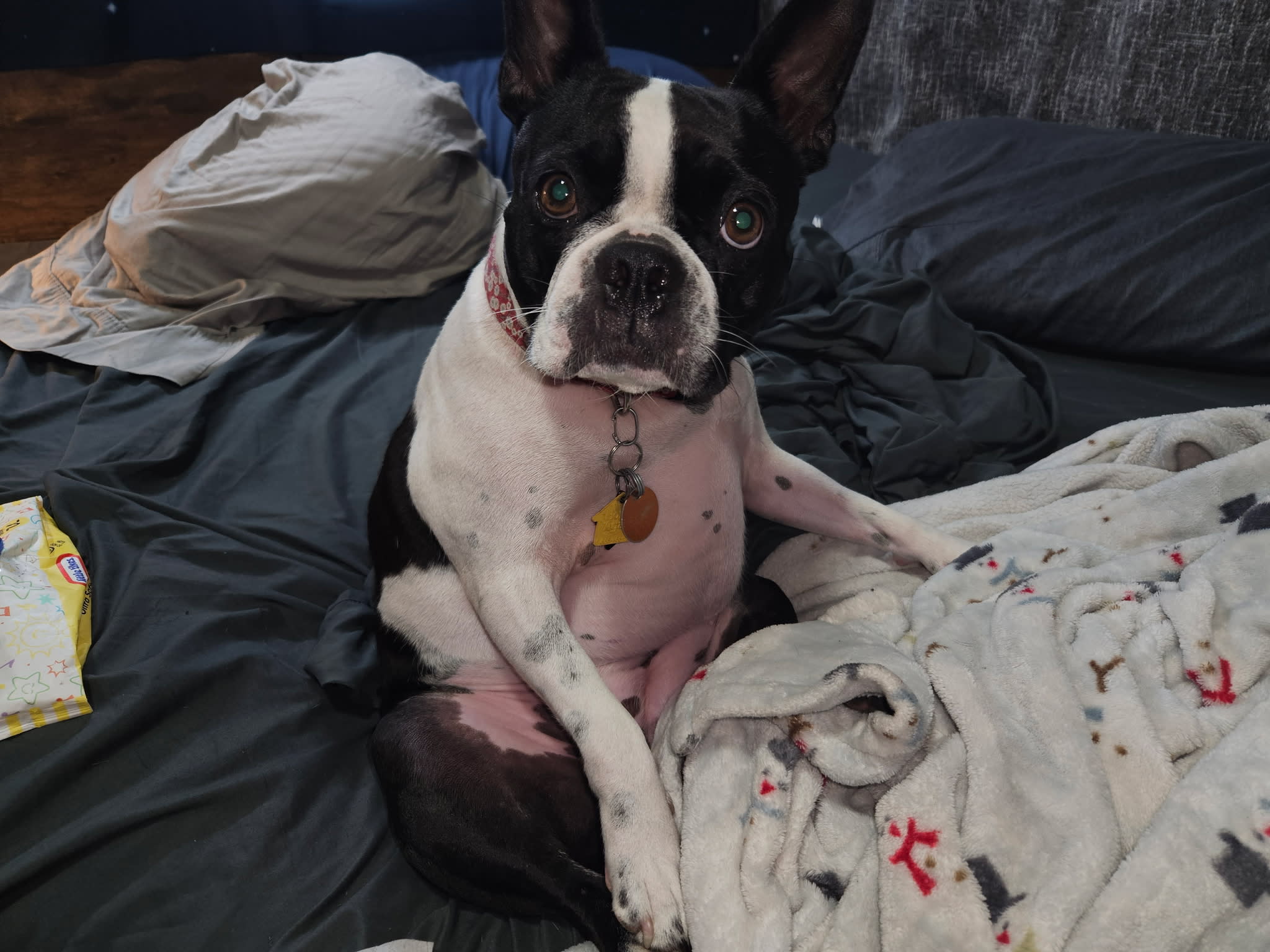 Maggie