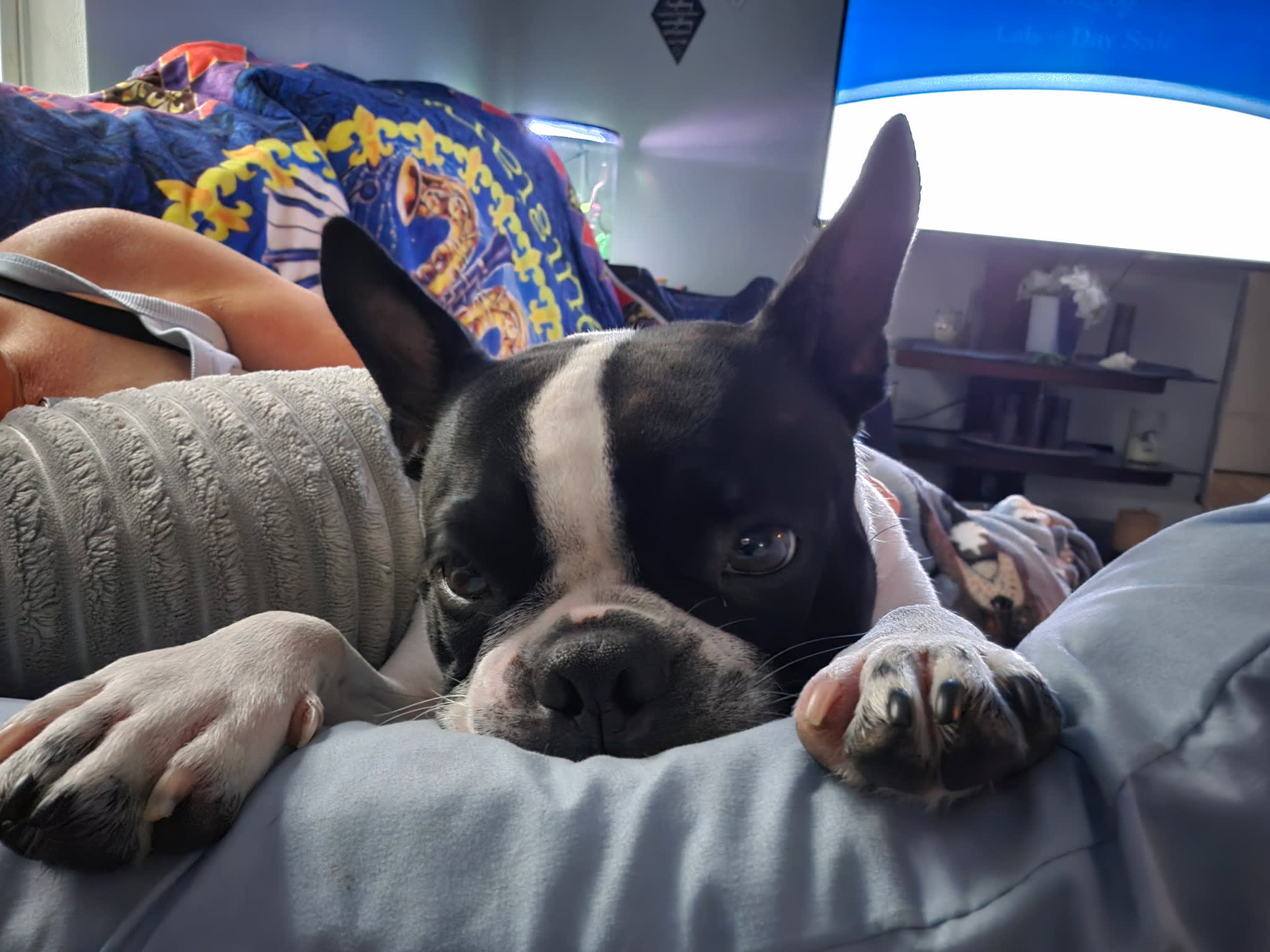 Maggie
