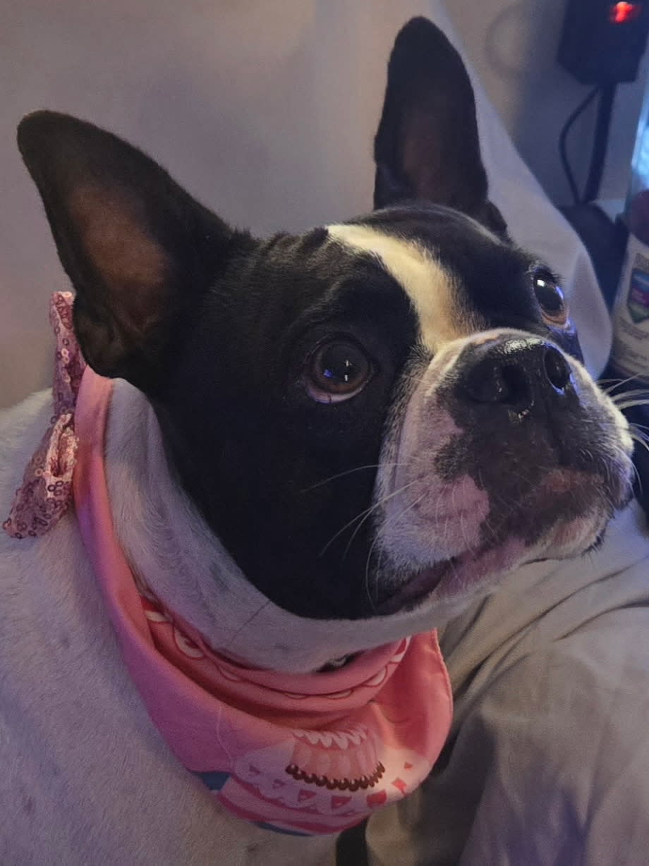 Maggie