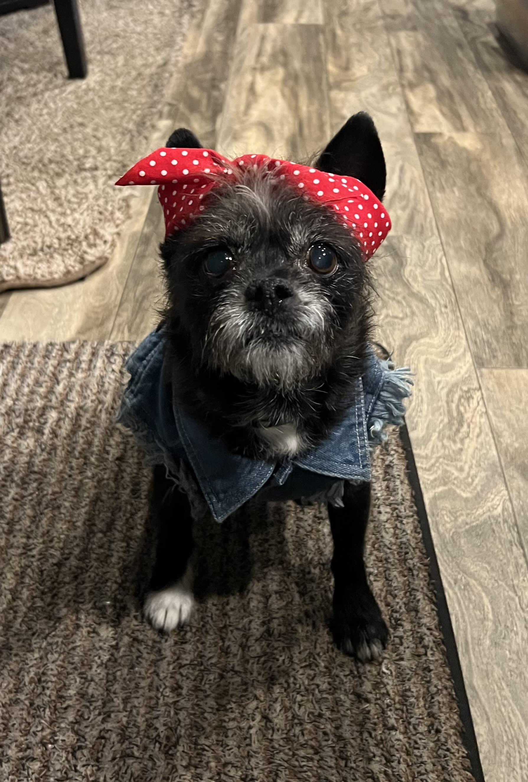 Libby