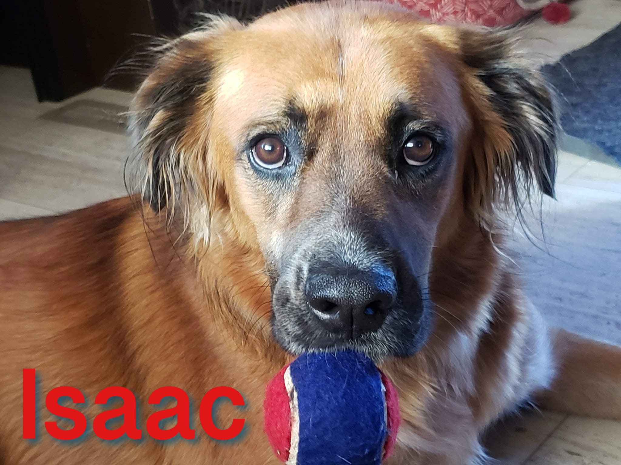 Isaac Isaac