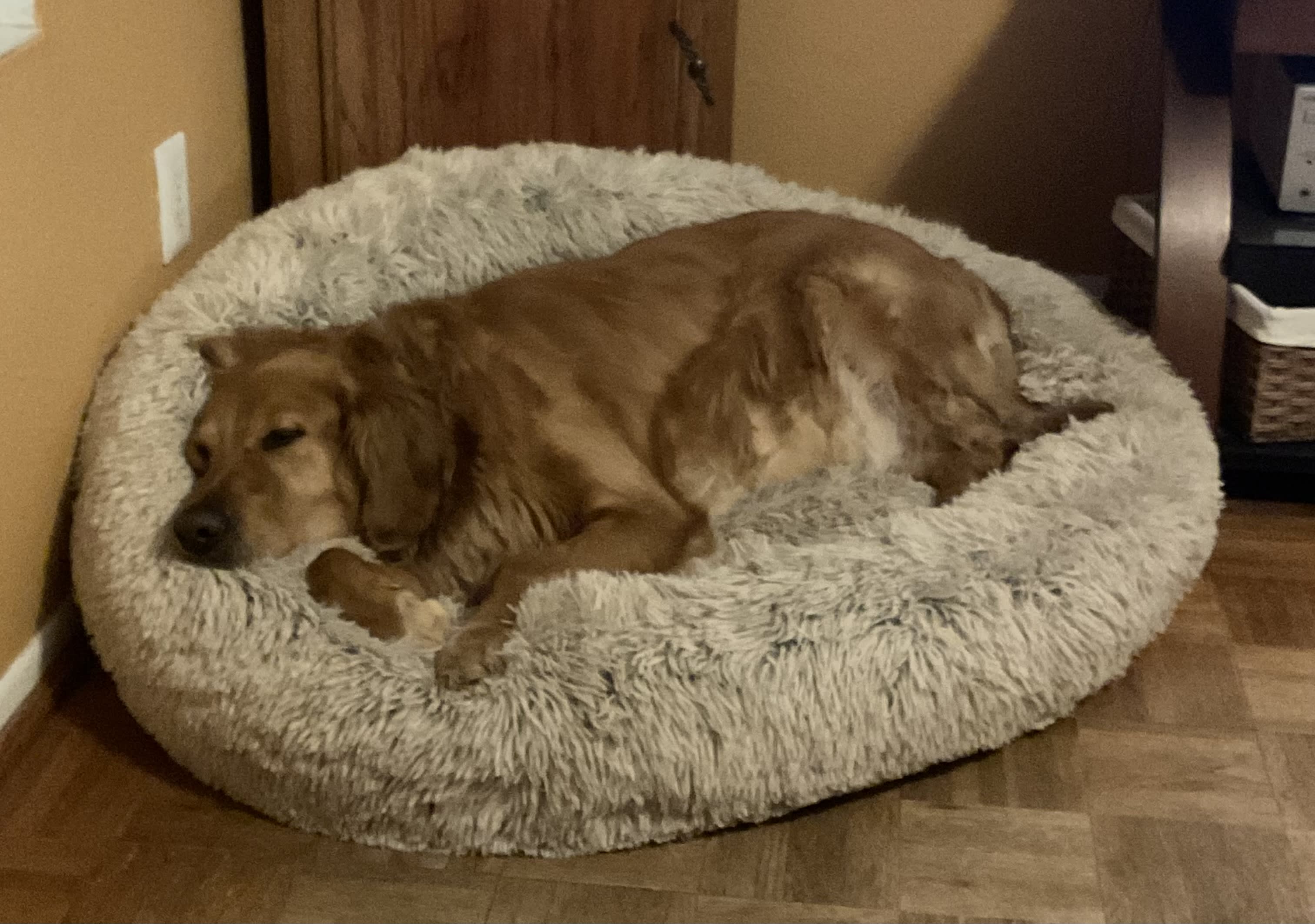 Charlie