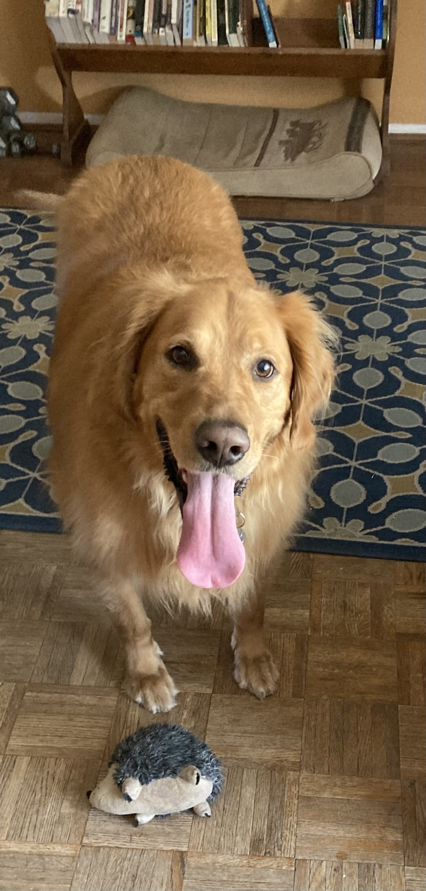 Charlie