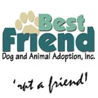 Best Friend Dog and Animal Adoption - Cranford, NJ