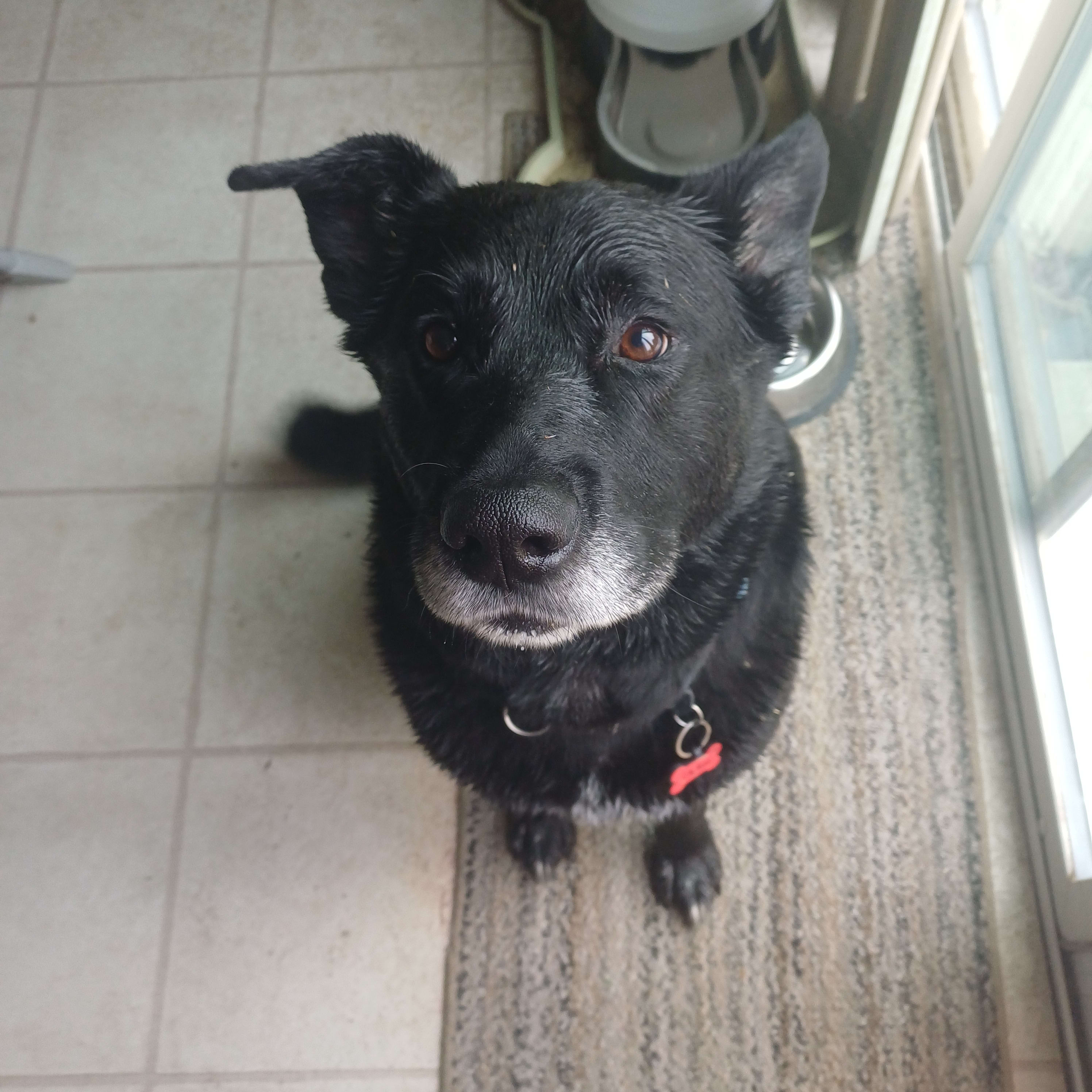 Odin