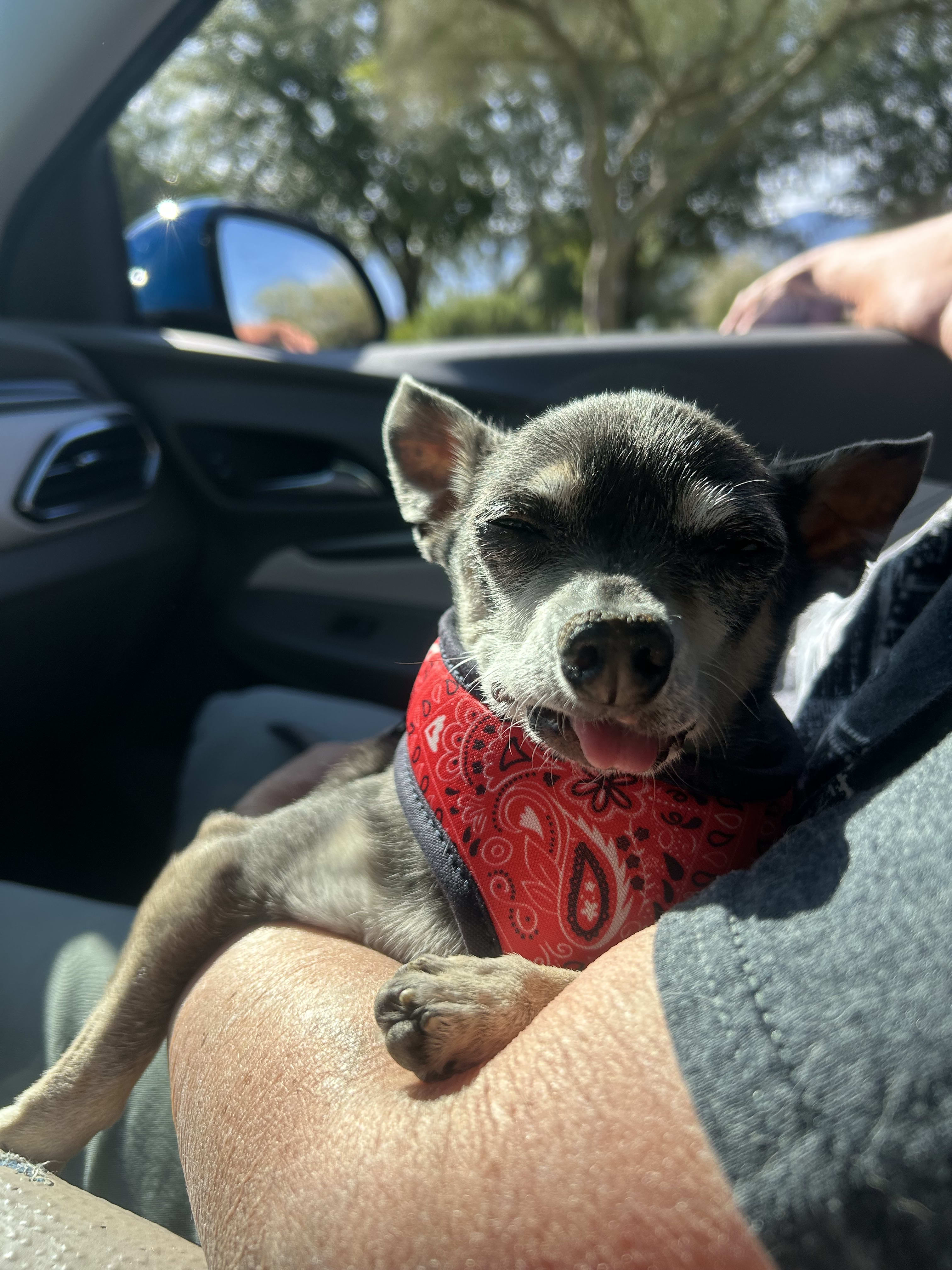 Mitah Buster
